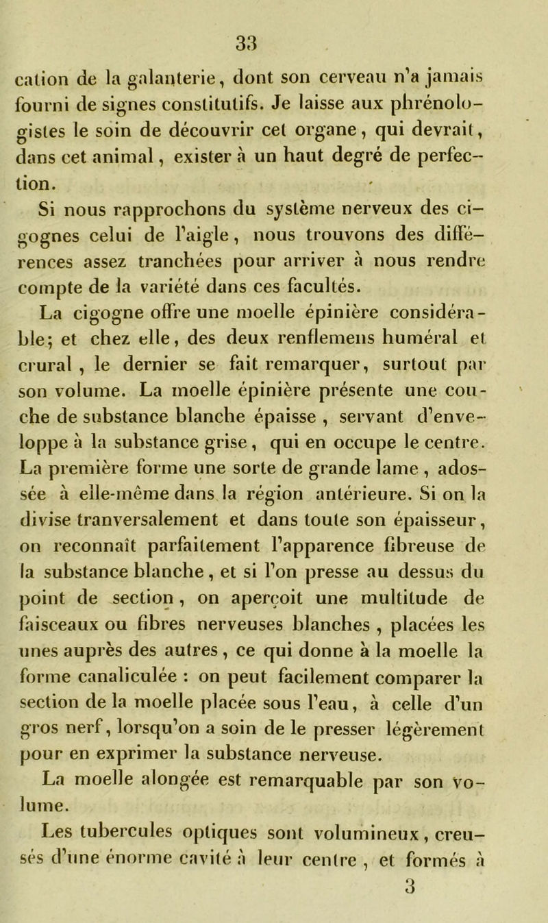 cation de la galanterie, dont son cerveau n’a jamais fourni de signes constitutifs. Je laisse aux phrénolo- gistes le soin de découvrir cet organe, qui devrait, dans cet animal, exister à un haut degré de perfec- tion. Si nous rapprochons du système nerveux des ci- gognes celui de l’aigle, nous trouvons des diffé- rences assez tranchées pour arriver à nous rendre compte de la variété dans ces facultés. La cigogne offre une moelle épinière considéra- ble; et chez elle, des deux reoflemens huméral et crural , le dernier se fait remarquer, surtout par son volume. La moelle épinière présente une cou- che de substance blanche épaisse , servant d’enve- loppe à la substance grise, qui en occupe le centre. La première forme une sorte de grande lame , ados- sée à elle-même dans la région antérieure. Si on la divise tranversalement et dans toute son épaisseur, on reconnaît parfaitement l’apparence fibreuse de la substance blanche, et si l’on presse au dessus du point de section , on aperçoit une multitude de faisceaux ou fibres nerveuses blanches , placées les unes auprès des autres, ce qui donne à la moelle la forme canaliculée : on peut facilement comparer la section de la moelle placée sous l’eau, à celle d’un gros nerf, lorsqu’on a soin de le presser légèrement pour en exprimer la substance nerveuse. La moelle alongée est remarquable par son Vo- lume. Les tubercules optiques sont volumineux, creu- sés d’une énorme cavité à leur centre , et formés à 3