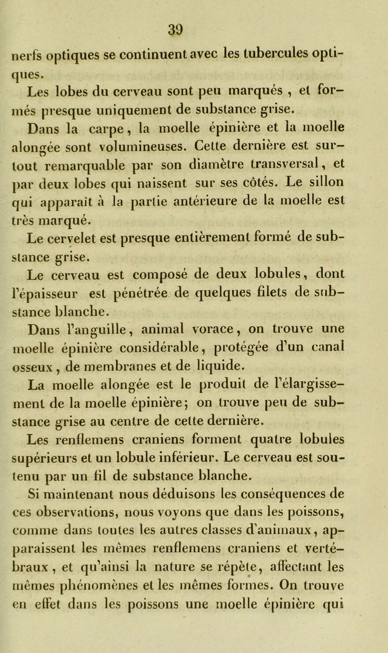 nerfs optiques se continuent avec les tubercules opti- ques. Les lobes du cerveau sont peu marqués , et for- més presque uniquement de substance grise. Dans la carpe, la moelle épinière et la moelle alonffée sont volumineuses. Celte dernière est sur— tout remarquable par son diamètre transversal, et par deux lobes qui naissent sur ses côtés. Le sillon qui apparaît à la partie antérieure de la moelle est très marqué. Le cervelet est presque entièrement formé de sub- stance grise. Le cerveau est composé de deux lobules, dont l’épaisseur est pénétrée de quelques filets de sub- stance blanche. Dans l’anguille, animal vorace, on trouve une moelle épinière considérable, protégée d’un canal osseux , de membranes et de liquide. La moelle alongée est le produit de l’élargisse- ment de la moelle épinière ; on trouve peu de sub- stance grise au centre de celte dernière. Les renflemens crâniens forment quatre lobules supérieurs et un lobule inférieur. Le cerveau est sou- tenu par un fil de substance blanche. Si maintenant nous déduisons les conséquences de ces observations, nous voyons que dans les poissons, comme dans toutes les autres classes d’animaux, ap- paraissent les mêmes renflemens crâniens et verté- braux, et qu’ainsi la nature se répète, affectant les mêmes phénomènes et les mêmes formes. On trouve en effet dans les poissons une moelle épinière qui