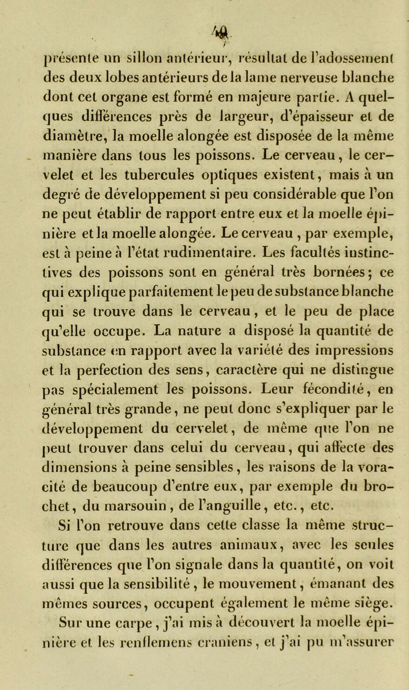 présente un sillon antérieur, résultat de l’adossement des deux lobes antérieurs de la lame nerveuse blanche dont cet organe est formé en majeure partie. A quel- ques différences près de largeur, d’épaisseur et de diamètre, la moelle alongée est disposée de la même manière dans tous les poissons. Le cerveau, le cer- velet et les tubercules optiques existent, mais à un degré de développement si peu considérable que l’on ne peut établir de rapport entre eux et la moelle épi- nière et la moelle alongée. Le cerveau , par exemple, est à peine à l’état rudimentaire. Les facultés instinc- tives des poissons sont en général très bornées ; ce qui explique parfaitement le peu de substance blanche qui se trouve dans le cerveau, et le peu de place qu’elle occupe. La nature a disposé la quantité de substance en rapport avec la variété des impressions et la perfection des sens, caractère qui ne distingue pas spécialement les poissons. Leur fécondité, en général très grande, ne peut donc s’expliquer par le développement du cervelet, de même que l’on ne peut trouver dans celui du cerveau, qui affècte des dimensions à peine sensibles, les raisons de la vora- cité de beaucoup d’entre eux, par exemple du bro- chet, du marsouin , de l’anguille, etc., etc. Si l’on retrouve dans cette classe la même struc- ture que dans les autres animaux, avec les seules différences que l’on signale dans la quantité, on voit aussi que la sensibilité , le mouvement, émanant des mêmes sources, occupent également le même siège. Sur une carpe, j’ai mis à découvert la moelle épi- nière et les renllemens crâniens, el j’ai pu m’assurer