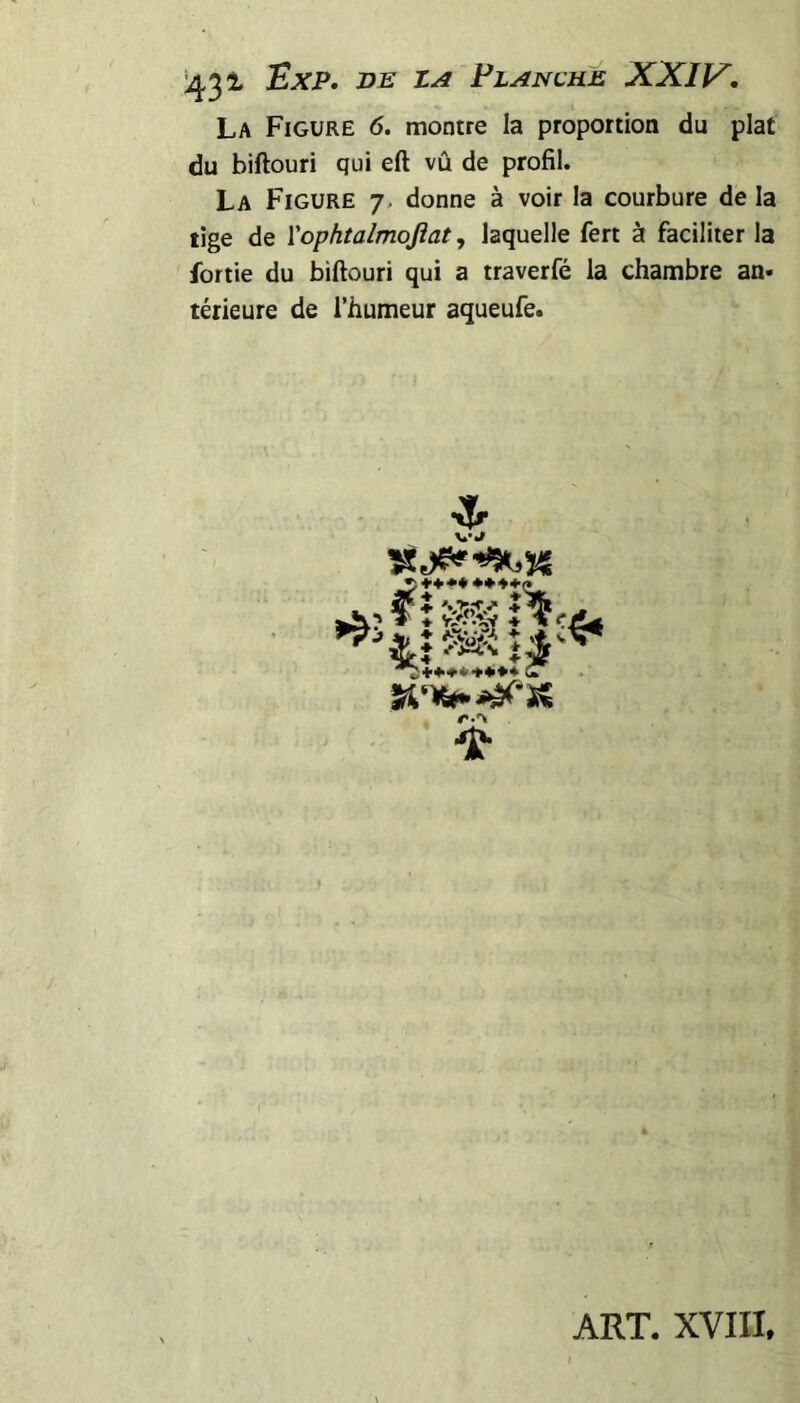 Exp, UE Z A Flanché XXIV. La Figure 6. montre la proportion du plat du biftouri qui eft vû de profil. La Figure j. donne à voir la courbure de la tige de Yophtalmojiat, laquelle fert à faciliter la fortie du biftouri qui a traverfé la chambre an* térieure de l’humeur aqueufe. w CT ART. XVIII.