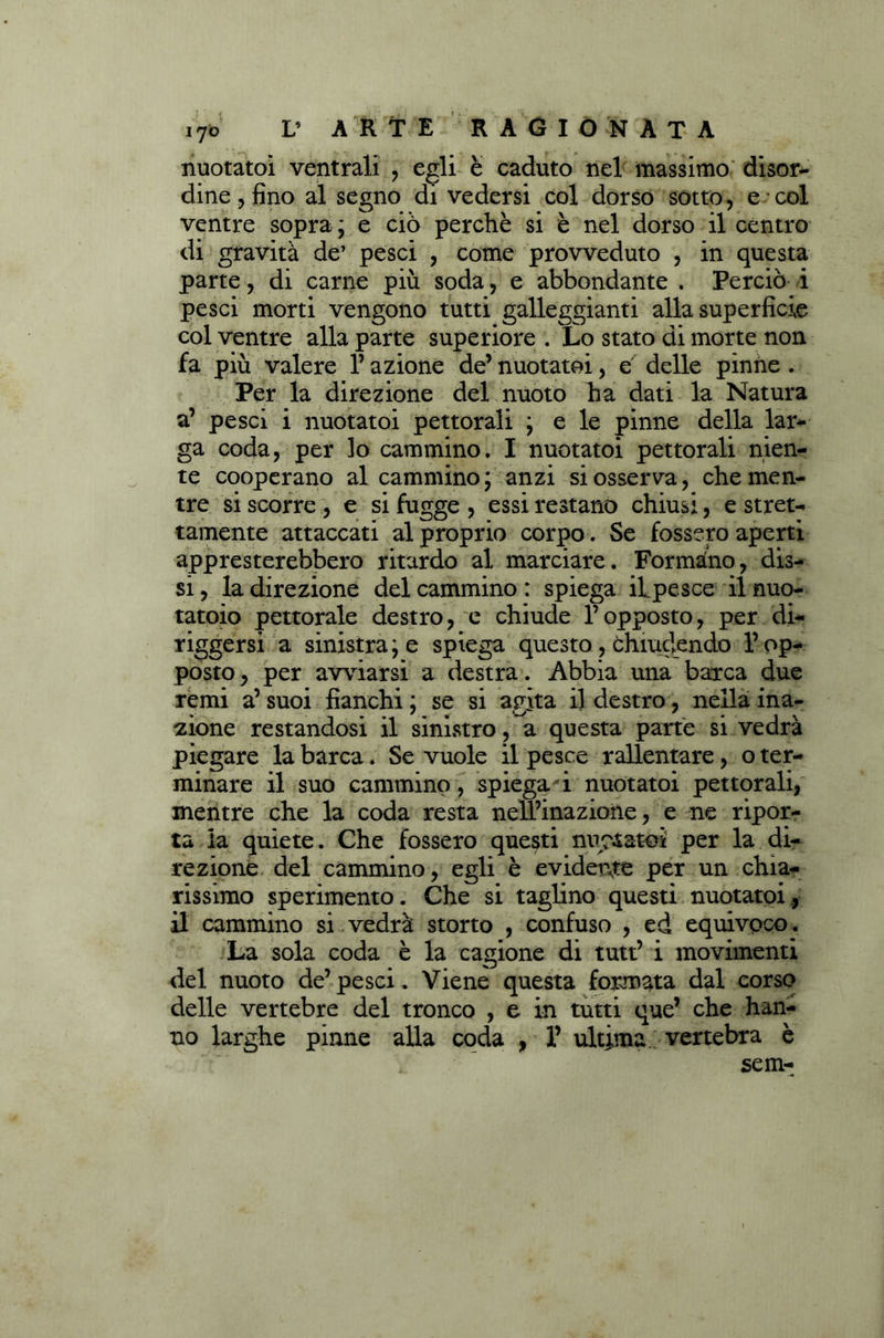 1^0 nuotatoi ventrali , egli e caduto nel massimo disor- dine, fino al segno di vedersi col dorso sotto, e col ventre sopra ; e ciò perchè si è nel dorso il centro di gravità de’ pesci , come provveduto , in questa parte, di carne più soda, e abbondante . Perciò i pesci morti vengono tutti galleggianti alla superficie col ventre alla parte superiore . Lo stato di morte non fa più valere 1’ azione de’ nuotatoi, e delle pinne . Per la direzione del nuoto ha dati la Natura a’ pesci i nuotatoi pettorali ; e le pinne della lar- ga coda, per lo cammino. I nuotatoi pettorali nien- te cooperano al cammino ; anzi si osserva, che men- tre si scorre , e si fugge , essi restano chiusi, e stret- tamente attaccati al proprio corpo. Se fossero aperti appresterebbero ritardo al marciare. Formano, dis- si , la direzione del cammino : spiega ibpesce il nuo- tatolo pettorale destro, e chiude l’opposto, per di- rigersi a sinistra ; e spiega questo , chiudendo l’op- posto , per avviarsi a destra. Abbia una barca due remi a’ suoi fianchi ; se si agita il destro, nella ina- zione restandosi il sinistro, a questa parte si vedrà piegare la barca. Se vuole il pesce rallentare, o ter- minare il suo cammino, spiega/i nuotatoi pettorali, mentre che la coda resta nell’inazione, e ne ripor- ta la quiete. Che fossero questi nuotatoi per la di- rezione del cammino, egli è evidente per un chia- rissimo sperimento. Che si taglino questi nuotatoi, il cammino si vedrà storto , confuso , ed equivpco. La sola coda è la cagione di tutt’ i movimenti del nuoto de’pesci. Viene questa formata dal corso delle vertebre del tronco , e in tutti que’ che han- no larghe pinne alla coda , V ultima vertebra è sem-