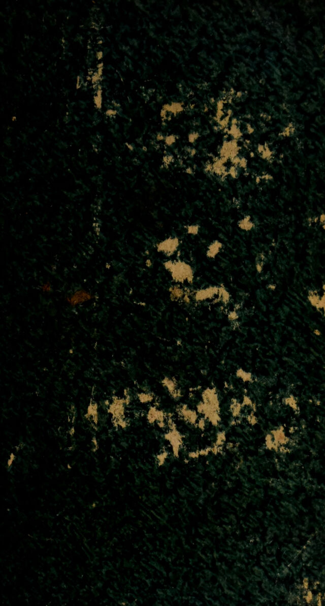 digitised image 1