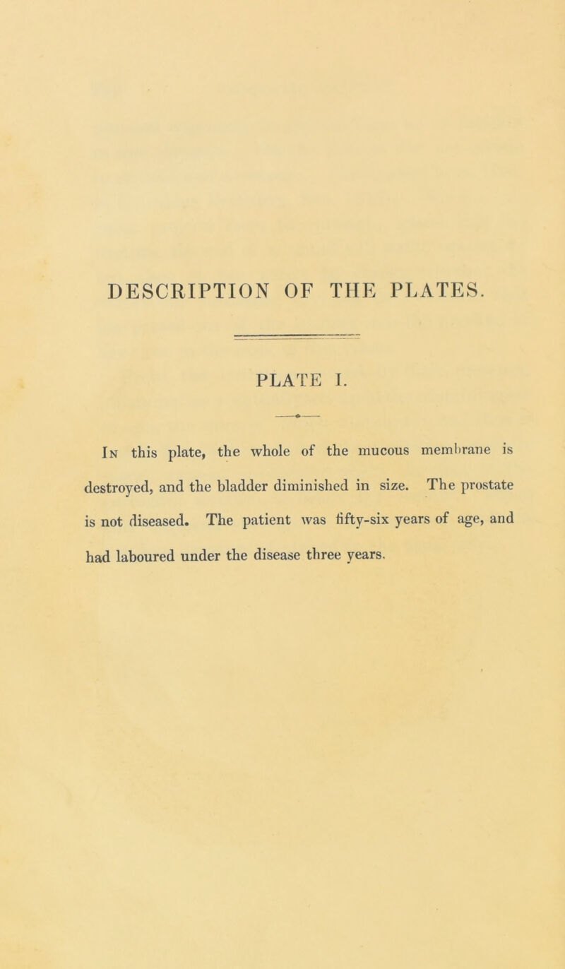 DESCRIPTION OF THE PLATES. PLATE I. » In this plate, the whole of the mucous membrane is destroyed, and the bladder diminished in size. The prostate is not diseased. The patient was lifty-six years of age, and had laboured under the disease three years.
