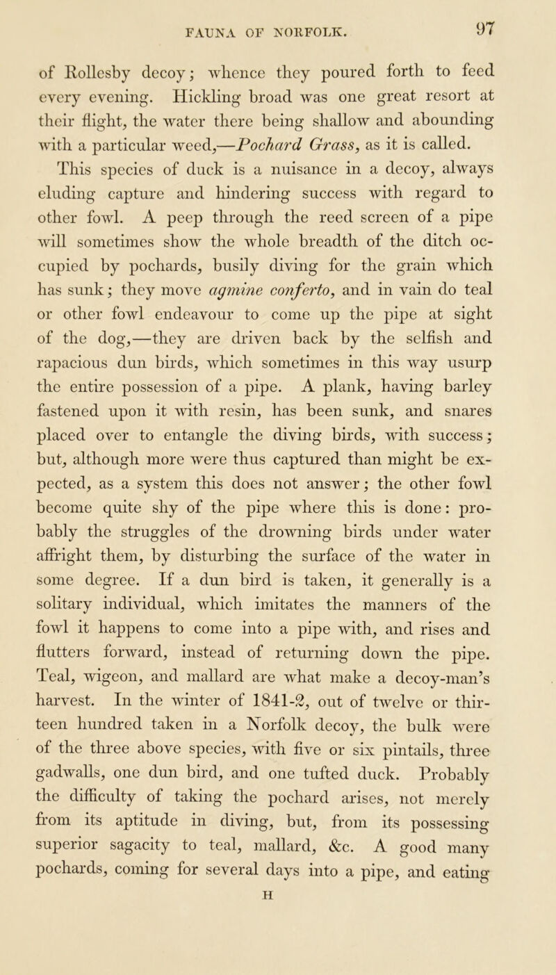 of Pollesby decoy; whence they poured forth to feed every evening. Hickling broad was one great resort at their flight, the water there being shallow and abounding with a particular weed,—Pochard Grass, as it is called. This species of duck is a nuisance in a decoy, always eluding capture and hindering success with regard to other fowl. A peep through the reed screen of a pipe will sometimes show the whole breadth of the ditch oc- cupied by pochards, busily diving for the grain which has sunk; they move agmine conferto, and in vain do teal or other fowl endeavour to come up the pipe at sight of the dog,—they are driven back by the selfish and rapacious dun birds, which sometimes in this way usurp the entire possession of a pipe. A plank, having barley fastened upon it with resin, has been sunk, and snares placed over to entangle the diving birds, with success; but, although more were thus captured than might be ex- pected, as a system this does not answer; the other fowl become quite shy of the pipe where this is done: pro- bably the struggles of the drowning birds under water affright them, by disturbing the surface of the water in some degree. If a dun bird is taken, it generally is a solitary individual, which imitates the manners of the fowd it happens to come into a pipe with, and rises and flutters forward, instead of returning down the pipe. Teal, wigeon, and mallard are what make a decoy-man’s harvest. In the winter of 1841-2, out of twelve or thir- teen hundred taken in a Norfolk decoy, the bulk were of the three above species, with five or six pintails, three gadwalls, one dun bird, and one tufted duck. Probably the difficulty of taking the pochard arises, not merely from its aptitude in diving, but, from its possessing superior sagacity to teal, mallard, &c. A good many pochards, coming for several days into a pipe, and eating H