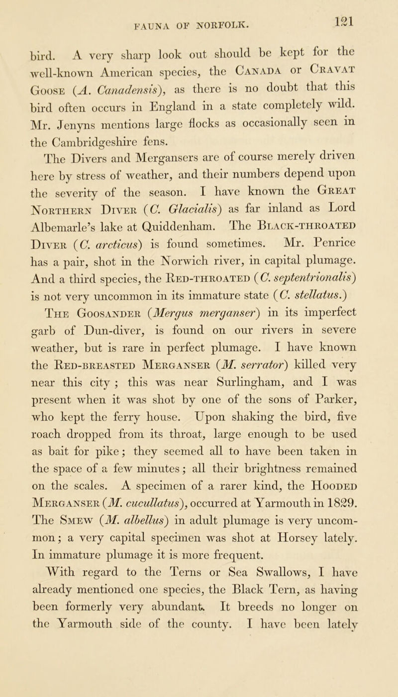 bird. A very sharp look out should be kept for the well-known American species, the Canada or Cravat Goose (A. Canadensis), as there is no doubt that this bird often occurs in England in a state completely wild. Mr. Jenyns mentions large flocks as occasionally seen in the Cambridgeshire fens. The Divers and Mergansers are of course merely driven here by stress of weather, and their numbers depend upon the severity of the season. I have known the Great Northern Diver (C. Glacialis) as far inland as Lord Albemarle’s lake at Quiddenham. The Black-throated Diver (C. arcticus) is found sometimes. Mr. Penrice has a pair, shot in the Norwich river, in capital plumage. And a third species, the Bed-throated (C. septentrionalis) is not very uncommon in its immature state (GY. stellatus.) The Goosander (Mergus merganser) in its imperfect garb of Dun-diver, is found on our rivers in severe weather, but is rare in perfect plumage. I have known the Bed-breasted Merganser (M. serrator) killed very near this city ; this was near Surlingham, and I was present when it was shot by one of the sons of Parker, who kept the ferry house. PTpon shaking the bird, five roach dropped from its throat, large enough to be used as bait for pike; they seemed all to have been taken in the space of a few minutes; all their brightness remained on the scales. A specimen of a rarer kind, the Hooded Merganser (3f. cucullatus), occurred at Yarmouth in 1829. The Smew (3f. albellus) in adult plumage is very uncom- mon ; a very capital specimen was shot at Horsey lately. In immature plumage it is more frequent. With regard to the Terns or Sea Swallows, I have already mentioned one species, the Black Tern, as having been formerly very abundant. It breeds no longer on the Yarmouth side of the county. I have been lately