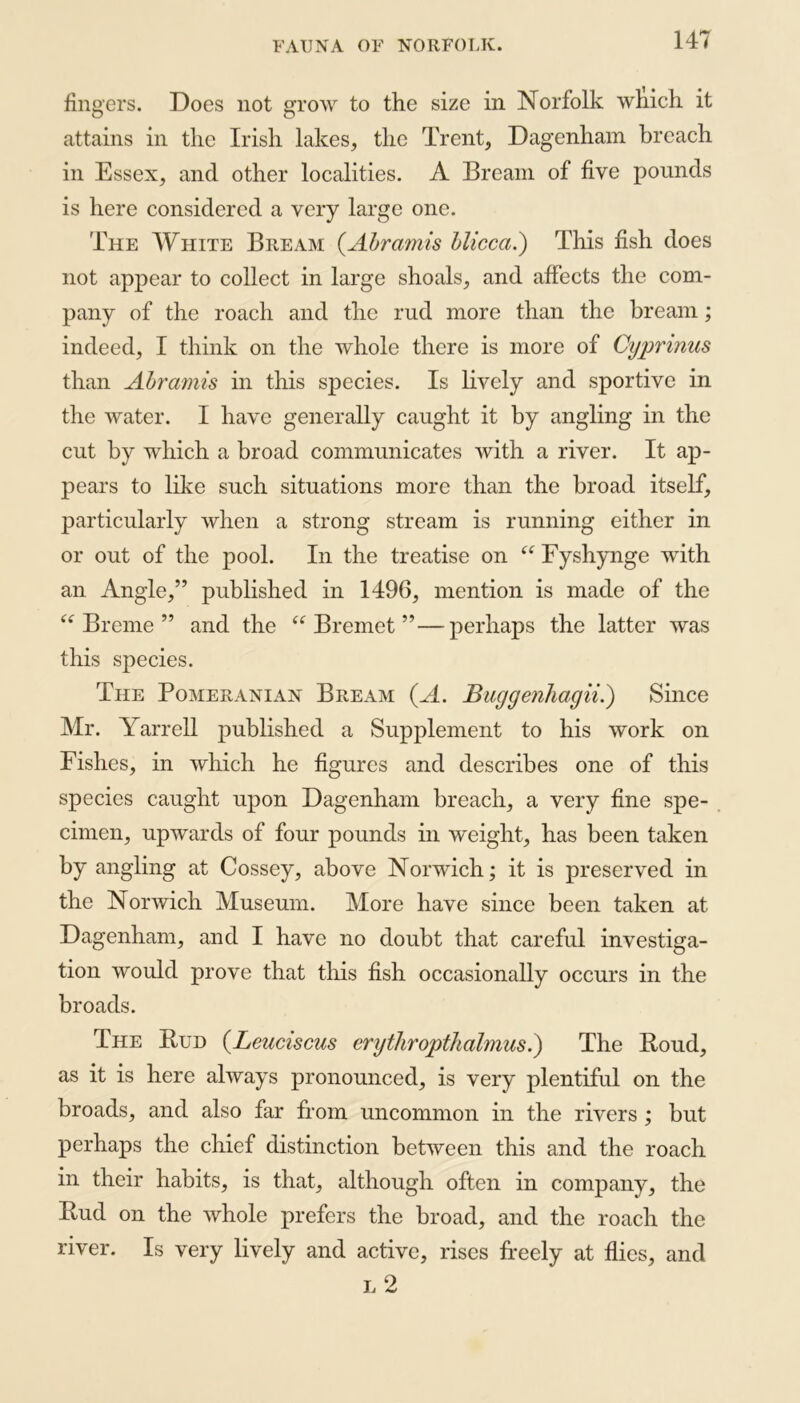 fingers. Does not grow to the size in Norfolk which it attains in the Irish lakes, the Trent, Dagenham breach in Essex, and other localities. A Bream of five pounds is here considered a very large one. The White Bream (.Abramis blicca.) This fish does not appear to collect in large shoals, and affects the com- pany of the roach and the rud more than the bream; indeed, I think on the whole there is more of Cyprinus than Abramis in this species. Is lively and sportive in the water. I have generally caught it by angling in the cut by which a broad communicates with a river. It ap- pears to like such situations more than the broad itself, particularly when a strong stream is running either in or out of the pool. In the treatise on <( Fyshynge with an Angle,” published in 1496, mention is made of the <f Breme ” and the “ Bremet ”—perhaps the latter was this species. The Pomeranian Bream (A. Buggenhagii.) Since Mr. Yarrell published a Supplement to his work on Fishes, in which he figures and describes one of this species caught upon Dagenham breach, a very fine spe- cimen, upwards of four pounds in weight, has been taken by angling at Cossey, above Norwich; it is preserved in the Norwich Museum. More have since been taken at Dagenham, and I have no doubt that careful investiga- tion would prove that this fish occasionally occurs in the broads. The Bud (Leuciscus erythropthalmus.) The Roud, as it is here always pronounced, is very plentiful on the broads, and also far from uncommon in the rivers ; but perhaps the chief distinction between this and the roach in their habits, is that, although often in company, the Bud on the whole prefers the broad, and the roach the river. Is very lively and active, rises freely at flies, and l 2