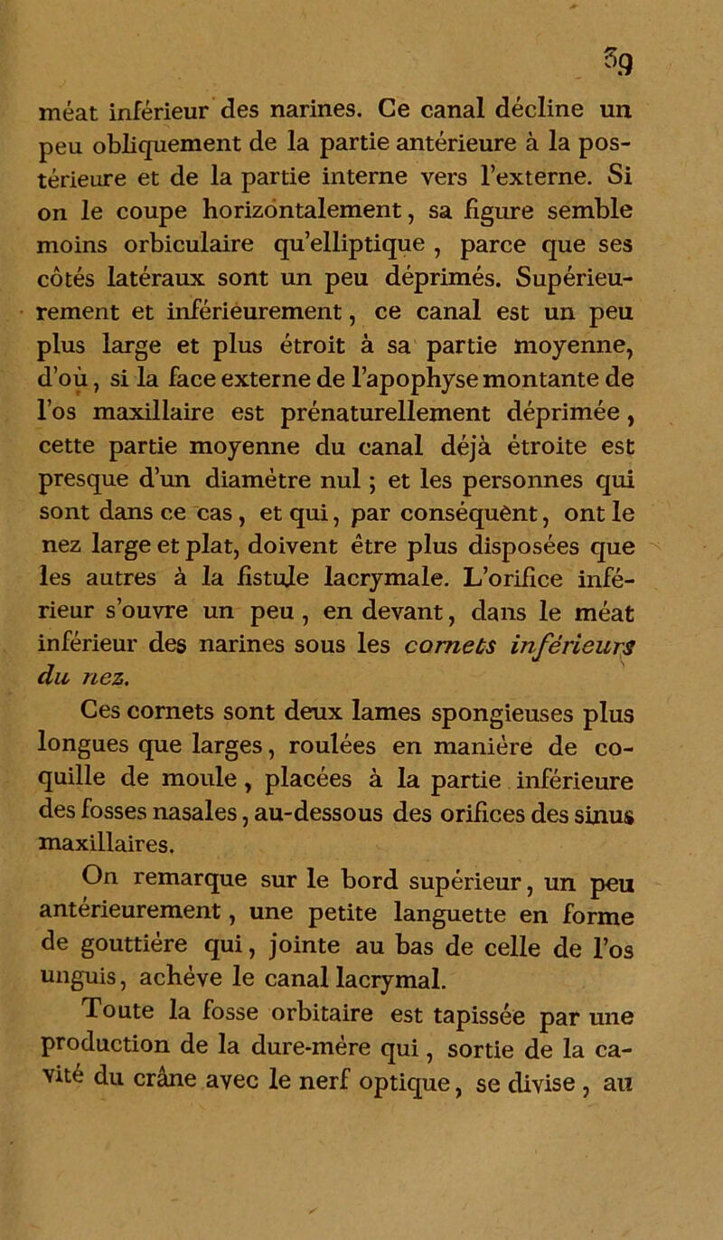 sg méat inférieur des narines. Ce canal décline un peu obliquement de la partie antérieure à la pos- térieure et de la partie interne vers l’externe. Si on le coupe horizontalement, sa figure semble moins orbiculaire qu’elliptique , parce que ses côtés latéraux sont un peu déprimés. Supérieu- rement et inférieurement, ce canal est un peu plus large et plus étroit à sa partie moyenne, d’où, si la face externe de l’apophyse montante de l’os maxillaire est prénaturellement déprimée, cette partie moyenne du canal déjà étroite est presque d’un diamètre nul ; et les personnes qui sont dans ce cas, et qui, par conséquent, ont le nez large et plat, doivent être plus disposées que les autres à la fistule lacrymale. L’orifice infé- rieur s’ouvre un peu , en devant, dans le méat inférieur des narines sous les cornets inférieurs du nez. Ces cornets sont deux lames spongieuses plus longues que larges, roulées en manière de co- quille de moule, placées à la partie inférieure des fosses nasales, au-dessous des orifices des sinus maxillaires. On remarque sur le bord supérieur, un peu antérieurement, une petite languette en forme de gouttière qui, jointe au bas de celle de l’os unguis, achève le canal lacrymal. Toute la fosse orbitaire est tapissée par une production de la dure-mère qui, sortie de la ca- vité du crâne avec le nerf optique, se divise , au