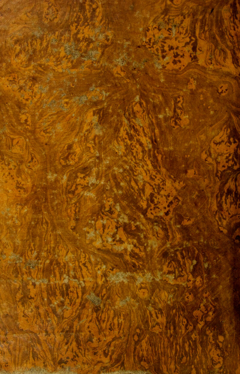 No text description is available for this image