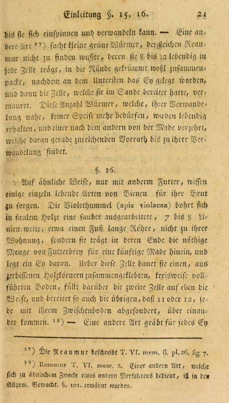 flc fid) emfpinncn uub bcrwanbeln fanm — Eine aiu t>erc2lrt I7) fud>t Heine grünefurnier, bac\fcicf)Cii SKeau* nmr nid)t $u ftnbtit tvuj?te, bereu ftc 8 bib 12 Ic&cnbig in jebe gelle tragt, in bic ftüit&c gefnimmt tt>o$l $ufarameu* paeFt, nadjbcm an bem Unterften bab Ei) gelegt worben, uub bann bic gelle, n>clrf>e ftc im Eaube bereifet batte, t>cr* mauret. £>icfc 2ln$abl Türmer, welche, if>vcr SSerwmt&e* jung ual;c, feiner 6peifcmcbr bebtirfeu, Waben lebcitbig erhalten, mib einer nach bem anbern Den bei* 85?ibe ber$ej>rt, welche barmt gera&c $iucicbcubeu 3?erraff) bib ju if)rcr ?8cr* wgnbclung fiubet. 1 l §. 16. 5luf ähnliche SÖcifc, nur mit etnberm Stifter, wifiett einige einzeln lebeubc 21 rtat oott dienen für ihre SSrut $u forgett. £)ie 23ioletf)ummel (apis Tiolacea) bofjrt ftcf> tu faulem ol$c eine fauber aubgcarbeitctc, 7 bib 8 uiat weite, etwa einen gufc lauge Dvc(;re, uicl)t $u ihrer SSobnung, fonbern fit fragt in bereit Ettbe bic ndtf)ige Stetige bott Sufterbrep für eine künftige 0)?abc hinein, uub legt ein Et) barmt. lieber biefe gelle bauet ftc einen, aub jer6t|Tenat £ol$forncrn jufnmmcngcflcbtcn, f reib weife bell* führten $ebcn, füllt barüber bte (Weite gelle auf eben bic SBelfc, mtb bereitet fo auch bic übrigen,bafj 11 ober 12, je* bc mit ihrem groifdjeuboben abgefonberf, über ctnait* ber tommen. IS) — Eine anbere 21 rt grabt für jebeb Et) ,7) £)ic 9vcaumur bcfd>retbt T. VI. mem. 8. pl. zß. fig j. IH) llcannmr T. VI. mem. 2. Zitier flnöcm 2lrt, röiicfye fid) SU dbnlubem £wec?e cineb «uWern fEcrfnbrcnS bebietit, iß in tc* $üigcnr. 23ftrcict)t. 101. crrudbnt tvorfH’n.