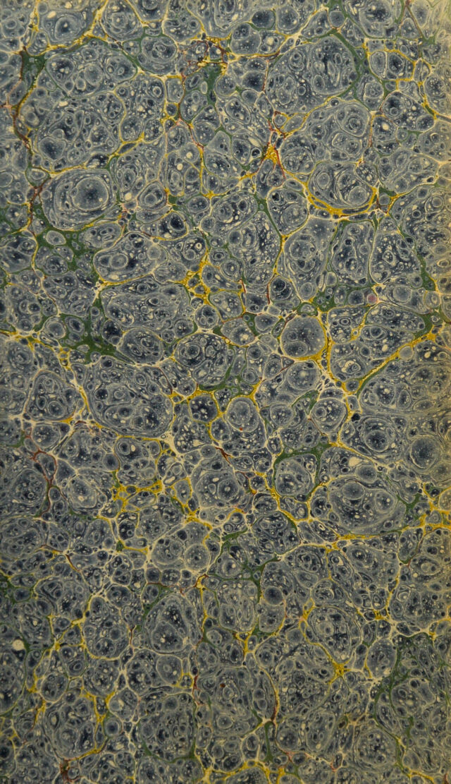 No text description is available for this image