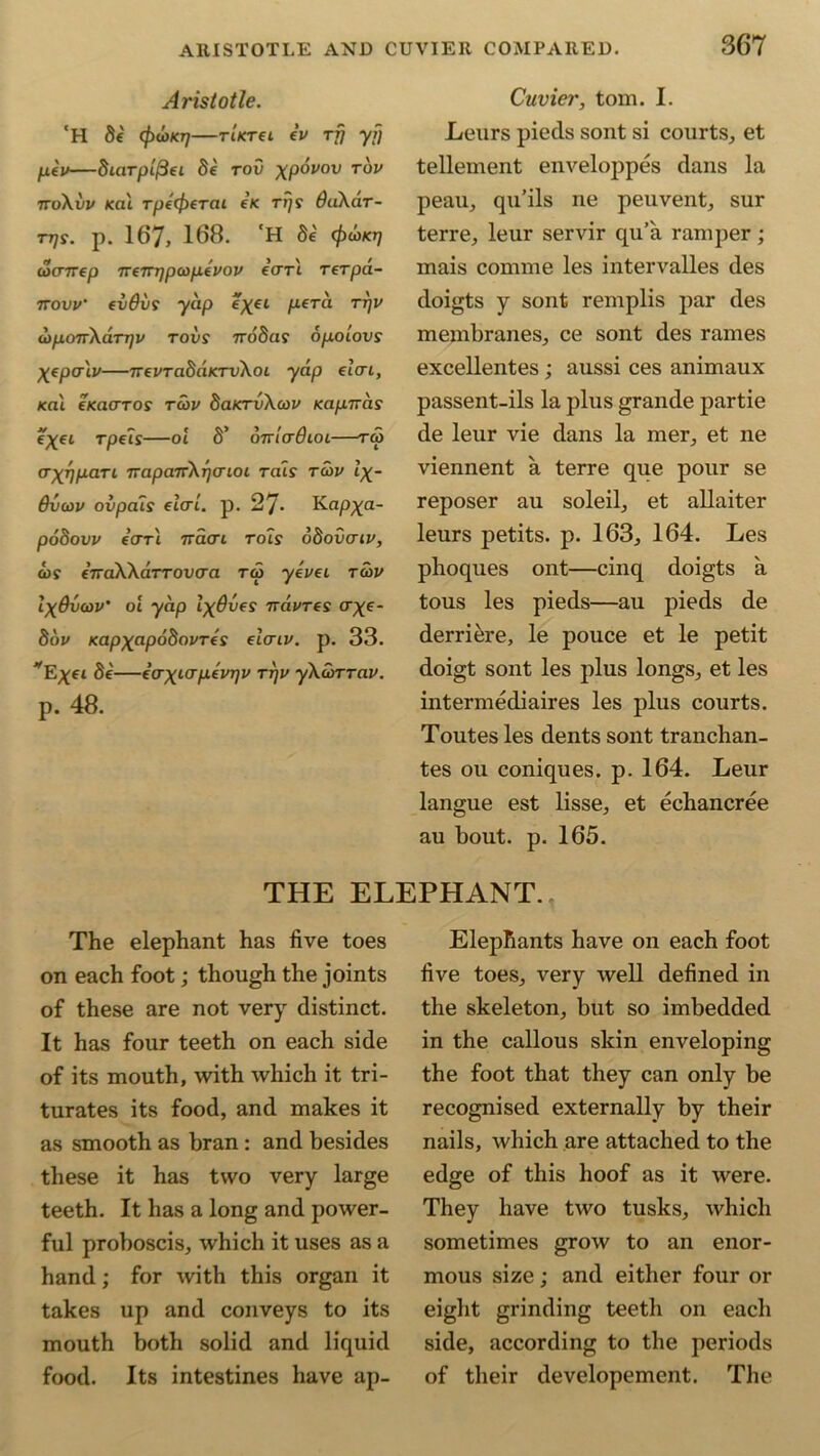 Aristotle. 'H 8e cf)u>KTj—t'iktcl ev rfj yfj pev—Si«rpt/3et Se to£) XP°V0V t°v noXvv Kai rpecperai e< rijs OaXar- TT)S. p. 167, 168. 'H 8e (f)(OKr] uxnrep Tverrqpcoptvov ecrrl rerpa- ttow cvdvs yap e^ei pera tt]V coponXdTrjv tovs TroSas opocovs Xepcr'iv—TT€VTa8aKTv\oL yap etVt, xai eKacrros tcov 8aicrv\cov Kapiras e^et rpeij—ot 8’ onladcoL—rw crxrjpaTL TrapaTrXrjcrioi rais tcov l\- Bvcov ovpals elcri. p. 27* Kap^a- po8ovv earl 7racri rots 68ovaiv, cos €TraXXa.TTOvaa tco yevei tcov IxOvcov' ot yap IxOves ndvres cr^e- 8ov Kapxapd8ovTes Ao-iv. p. 33. ^E^et 8e—eaxLvpevrjv ttjv yXcoTTav. p. 48. Cuvier, tom. I. Leurs pieds sont si courts, et tellement enveloppes dans la peau, qu’ils ne peuvent, sur terre, leur servir qu’a ramper; mais comme les intervalles des doigts y sont remplis par des membranes, ce sont des rames excellentes; aussi ces animaux passent-ils la plus grande partie de leur vie dans la mer, et ne viennent a terre que pour se reposer au soleil, et allaiter leurs petits. p. 163, 164. Les phoques ont—cinq doigts a tous les pieds—au pieds de derri&re, le pouce et le petit doigt sont les plus longs, et les intermediaires les plus courts. Toutes les dents sont tranchan- tes ou coniques. p. 164. Leur langue est lisse, et echancree au bout. p. 165. THE ELEPHANT. The elephant has five toes on each foot; though the joints of these are not very distinct. It has four teeth on each side of its mouth, with which it tri- turates its food, and makes it as smooth as bran: and besides these it has two very large teeth. It has a long and power- ful proboscis, which it uses as a hand; for with this organ it takes up and conveys to its mouth both solid and liquid food. Its intestines have ap- Elephants have on each foot five toes, very well defined in the skeleton, but so imbedded in the callous skin enveloping the foot that they can only be recognised externally by their nails, which are attached to the edge of this hoof as it were. They have two tusks, which sometimes grow to an enor- mous size; and either four or eight grinding teeth on each side, according to the periods of their developement. The