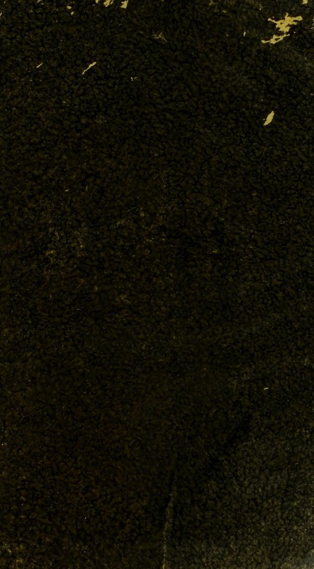 digitised image 1
