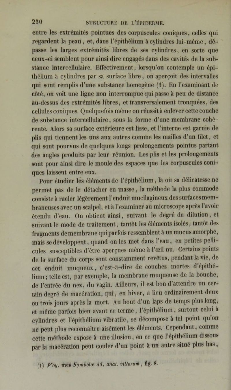 entre les extrömites pointues des corpuscules coniques, celles qui regardent la peau, et, dans l’&amp;pith@lium A cylindres Jui-möme , d6- passe les larges extr&amp;mites libres de ses eylindres, en sorte que ceux-ei semblent pour ainsi dire engag6s dans des cavit&amp;s de la sub- stance intercellulaire. Effectivement, lorsqu’on contemple un &amp;pi- thölium A cylindres par sa surface libre, on apercoit des intervalles qui sont remplis d’une substance homogene (1). En l’examinant de cöte, on voit une ligne non interrompue qui passe A peu de distance au-dessus des extr&amp;ömit6s libres, et transversalement tronquees, des cellules coniques. Quelquefois m&amp;me on r&amp;ussit A enlever cette couche de substance intercellulaire, sous la forme d’une membrane coh6- rente. Alors sa surface extörieure est lisse, et l'interne est garnie de plis qui tiennent les uns aux autres comme les mailles d’un filet, et qui sont pourvus de quelques longs prolongements pointus partant des angles produits par leur röunion. Les plis et les prolongements sont pour ainsi dire le moule des espaces que les corpuscules coni- ques laissent entre eux. Pour &amp;tudier les &amp;l&amp;ments de l’öpithölium , la olı sa d@licatesse ne permet pas de le dötacher en masse, la methode la plus commode consiste A racler lögörement l’enduit mucilagineux des surfacesmem- braneuses avec un scalpel, et a l’examiner au mieroscope apr&amp;s l’avoir ötendu d’eau. On obtient ainsi, suivant le degr&amp; de dilution, et suivant le mode de traitement , tantöt les öl&amp;öments isol&amp;s, tantöt des fragments demembrane quiparfois ressemblent A unmucus amorphe, mais se döveloppent, quand on les met dans l’eau, en petites pelli- cules susceptibles d’&amp;tre apergues m&amp;me A l’eil nu. Certains points de la surface du corps sont constamment revötus, pendant la vie, de cet enduit muquenx , c’est-A-dire de couches mortes d’epith6- lium ; telle est, par exemple, la membrane muqueuse de la bouche, de l’entr6e du nez, du vagin. Ailleurs, il est bon d’attendre un cer- tain degr&amp; de mac6ration, qui, en hiver, a lieu ordinairement deux ou trois jours aprös la mort. Au bout d’un laps de temps plus long, et möme parfois bien avant ce terme, l’öpithölium , surtout celui A eylindres et l’6pithölium vibratile, se d&amp;compose A te] point qu’on ne peut plus reconnaitre aisöment les &amp;l&amp;ments. Cependant, comme cette möthode expose A une illusion, en ce que l'&amp;pith@lium dissous par la mac6ration peut couler d’un point A un autre situ6 plus bas, (1) Yoy. mes Symbole ad, anat. villorum , fig. 8.