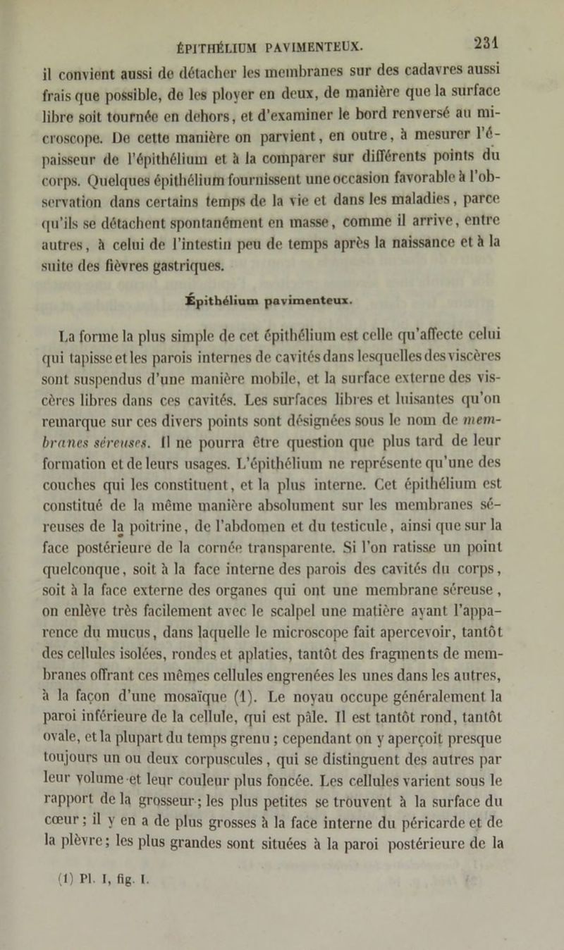 il convient aussi de dötacher les membranes sur des cadavres aussi frais que possible, de les ployer en deux, de maniere que la surface libre soit tournse en dehors, et d’examiner le bord renvers€ au mi- croscope. De cette maniöre on parvient, en outre, A mesurer '6- paisseur de l’öpithelium et A la comparer sur differents points du corps. Quelques &amp;pithölium fournissent une occasion favorable A l’ob- servation dans certains temps de la vie et dans les maladies , parce qu’ils se dötachent spontanöment en masse, comme il arrive, entre autres, A celui de l’intestin peu de temps apr&amp;s la naissance et A la suite des fievres gastriques. Epithelium pavimenteux. La forme la plus simple de cet pith&amp;lium est celle qu’affecte celui qui tapisse etles parois internes de cavitös dans lesquelles des visceres sont suspendus d’une maniöre mobile, et la surface externe des vis- cöres libres dans ces cavitös. Les surfaces libres et luisantes qu’on reınarque sur ces divers points sont designöes sous le nom de mem- branes sereuses. Il ne pourra tre question que plus tard de leur formation et de leurs usages. L’&amp;pithölium ne represente qu’une des couches qui les constituent, et la plus interne. Cet £pithelium est constitu&amp; de la m&amp;me manitre absolument sur les membranes se- reuses de la poitrine, de l’abdomen et du testicule, ainsi que sur la face posterieure de la corn6e transparente, Si l’on ratisse un point quelconque, soit A la face interne des parois des cavites du corps, soit A la face externe des organes qui ont une membrane söreuse , on enlöve trös facilement avec le scalpel une matiere ayant l’appa- rence du mucus, dans laquelle le microscope fait apercevoir, tantöt des cellules isol6es, rondes et aplaties, tantöt des fragınents de mem- branes offrant ces mömes cellules engrentes les unes dans les autres, a la facon d’une mosaique (1). Le noyau occupe gön6ralement la paroi inf6rieure de la cellule, qui est päle. Il est tantöt rond, tantöt ovale, etla plupart du temps grenu ; cependant on y apercoit presque toujours un ou deux corpuscules , qui se distinguent des autres par leur yolume-et leur couleur plus fonc6e. Les cellules varient sous le rapport de la grosseur;; les plus petites se trouvent ä la surface du ca@ur; il yenade plus grosses A la face interne du pericarde et de la plövre; les plus grandes sont situdes A la paroi posterieure de la
