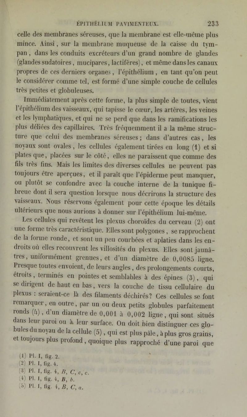 celle des membranes sereuses, que la membrane est elle-mewne plus mince. Ainsi, sur la membrane muqueuse de la caisse du tym- pan , dans les conduits exceröteurs d’un grand nombre de glandes (glandes sudatoires, mucipares, lactiföres), et m@me dansles canaux propres de ces derniers organes , l’&amp;pithelium, en tant qu’on peut le considörer comme tel, est form&amp; d’une simple couche de cellules tres petites et globuleuses. Immediatement apr?s cette forme, la plus simple de toutes, vient l’epithelium des vaisseaux, qui tapisse le caeur, les arteres, les veines et les Iymphatiques, et qui ne se perd que dans les ramifications les plus deli6es des capillaires. Tres fr&amp;quemment il a la m&amp;me struc- ture que celui des membranes söreuses; dans d’autres cas, les noyaux sont ovales, les cellules ögalement tirdes en long (4) et si plates que, places sur le cöt6, elles ne paraissent que comme des fils tr&amp;s fins. Mais les limites des diverses cellules ne peuvent pas toujours tre apergues, et il parait que l’öpiderme peut manquer, ou plutöt se confondre avec la couche interne de la tunique fi- breue dont il sera question lorsque nous decrirons la structure des vaisseaux. Nous röservons Ögalement pour cette epoque les details ult6rieurs que nous aurions A donner sur l’epithelium lui-m&amp;me. Les cellules qui rev&amp;tent les plexus choroides du cerveau (2) ont une forme tr&amp;s caract6ristique. Elles sont polygones , se rapprochent de la forme ronde, et sont un peu courb6es et aplaties dans les en- droits otı elles recouvrent les villositös du plexus. Elles sont jaunä- tres, uniformöment grenues, et d’un diamötre de 0,0085 ligne. Presque toutes envoient, de leurs angles , des prolongements courts, etroits, termines en pointes et semblables ä des epines (3), qui se dirigent de.haut en bas, vers la couche de tissu cellulaire du plexus : seraient-ce la des filaments dechires? Ces cellules se font remarquer, en outre, par un ou deux petits globules parfaitement ronds (4) , d’un diametre de 0,001 &amp; 0,002 ligne, qui sont situ6s dans leur paroi ou &amp; leur surface. On doit bien distinguer ces glo- bules du noyau de la cellule (5) , qui est plus päle, aplus gros grains, et toujours plus profond , quoique plus rapproch&amp; d’une paroi que (4) Pl. I, fig. 2. (2) Pl. I, fig. 4. (3) PL. I, fig. 4, 3, O,c,c. 4) PL. I, fig. 4, B, b. \) PLI, fig. 4,B, C,a.
