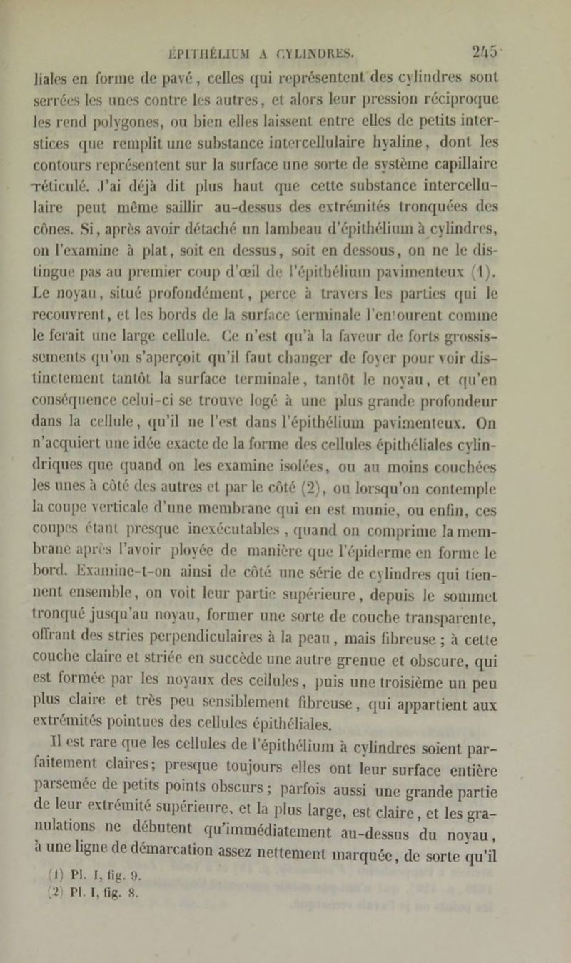 liales en forme de pav&amp;, celles qui reprösentent des cylindres sont serr6es les unes contre les autres, et alors leur pression r&amp;ciproque les rend polygones, ou bien elles laissent entre elles de petits inter- stices que remplit une substance intercellulaire hyaline, dont les contours reprösentent sur la surface une sorte de systeme capillaire röticule. J’ai d6ja dit plus haut que cette substance intercellu- laire peut me&amp;me saillir au-dessus des extr@mites tronqu6es des cönes. Si, apr&amp;s avoir detach@ un lambeau d’£pithelium A cylindres, on l’examine a plat, soit en dessus, soit en dessous, on ne le dis- tingue pas au premier coup d’eil de l’&amp;pithelium pavimenteux (1). Le noyau, situ@ profond@ment, perce a travers les parties qui le recouyrent, et les bords de la surface ierminale l’en'ourent comme le ferait une large cellule. Ge n’est qu’ä la faveur de forts grossis- sements qu’on s’apergoit qu’il faut changer de foyer pour voir dis- tinctement tantöt la surface terminale, tantöt le noyau, et qu’en consöquence celui-ci se trouve loge a une plus grande profondeur dans la cellule, qu’il ne l’est dans l’Cpithelium pavimenteux. On n’acquiert une idee exacte de la forme des cellules &amp;pitheliales cylin- driques que quand on les examine isoldes, ou au moins couchees les unes a cöt&amp; des autres et par le cöt&amp; (2), ou lorsqu’on contemple la coupe verticale d’une membrane qui en est munie, ou enfin, ces coupes etant presque inexecutables , quand on comprime lamem- brane aprts l’avoir ploy&amp;e de maniere que l’&amp;piderme en forme le bord. Examine-t-on ainsi de cöt@ une serie de cylindres qui tien- nent ensemble, on voit leur partie sup6rieure, depuis le sommet tronque jusqu'au noyau, former une sorte de couche transparente, offrant des stries perpendiculaires ä la peau , mais fibreuse ; A cette couche claire et strie en succede une autre grenue et obscure, qui est formee par les noyaux des cellules, puis une troisiöme un peu plus claire et tr&amp;s peu sensiblement fibreuse , qui appartient aux extr&amp;mites pointues des cellules Epithdliales. Il est rare que les cellules de l’epithölium A ceylindres soient par- faitement claires; presque toujours elles ont leur surface entiöre parsem&amp;e de petits points obscurs ; parfois aussi une grande partie de leur extremite sup£rieure, et la plus large, est claire, et les gra- nulations ne debutent qu’immediatement au-dessus du noyau, a une ligne de dömarcation assez nettement inarquee, de sorte qu’il (1) Pl. I, fig. 9.