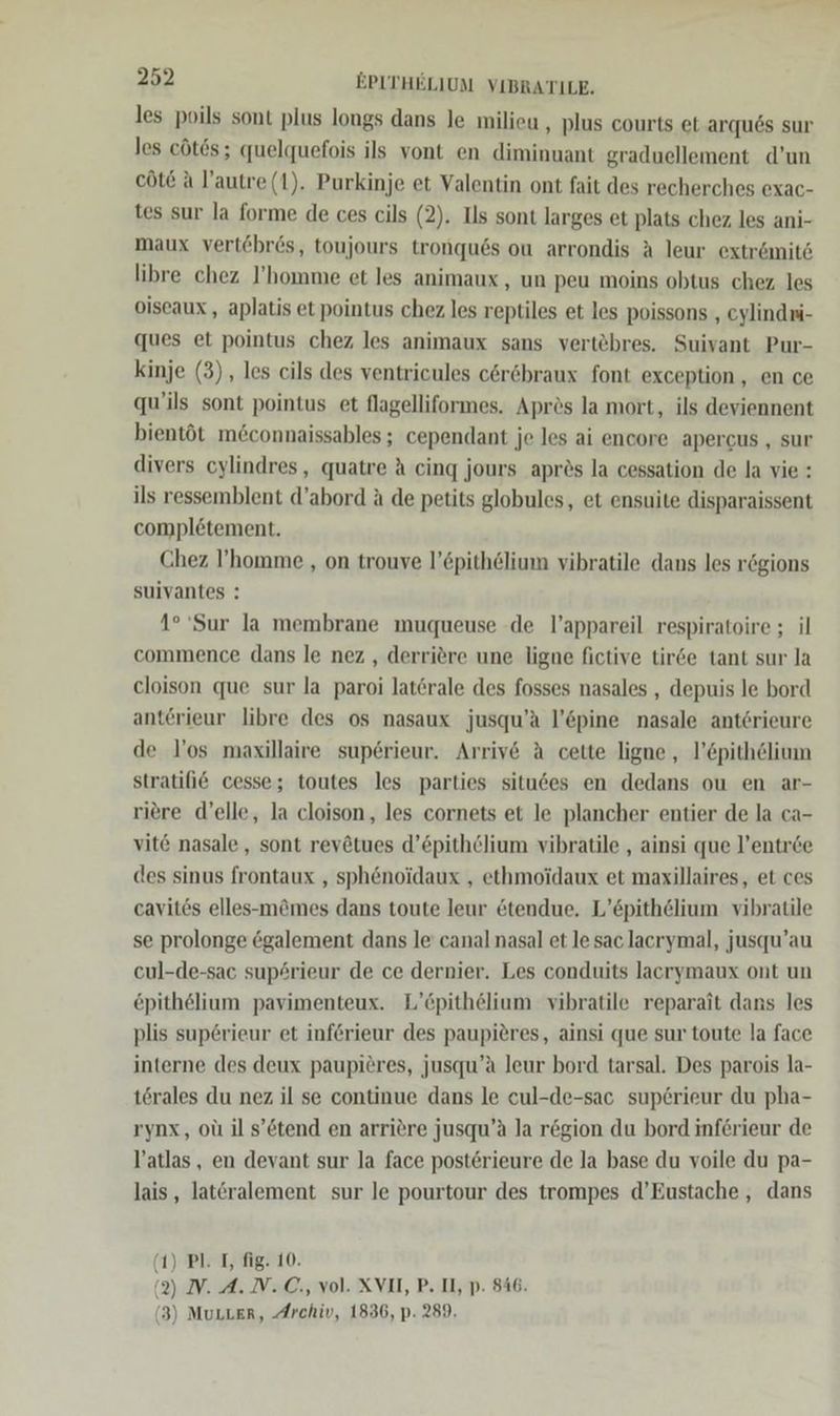 les poils sont plus longs dans le milieu , plus courts et arquös sur les cötös; quelquefois ils vont en diminuant graduellement d’un cöte A Yautre (1). Purkinje et Valentin ont fait des recherches exac- tes sur la forme de ces cils (2). Ils sont larges et plats chez les ani- maux vert£bres, toujours tronqu6s ou arrondis A leur extr&amp;mit6 libre chez I’homme et les animaux , un peu moins obtus chez les oiseaux,, aplatis et pointus chez les reptiles et les poissons , eylindri- ques et pointus chez les animaux sans vertöbres. Suivant Pur- kinje (3), les cils des ventricules c&amp;r&amp;braux font exception , en ce qu’ils sont pointus et flagelliformes. Aprös la mort, ils deviennent bientöt me&amp;connaissables ; cependant je les ai encore apercus , sur divers cylindres, quatre A cing jours apres la cessation de la vie : ils ressemblent d’abord ä de petits globules, et ensuite disparaissent completement. Chez I’homme , on trouve l’&amp;pithölium vibratile dans les r&amp;gions suivantes : 1° Sur la membrane muqueuse .de l’appareil respiratoire ; il commence dans le nez , derriöre une ligne fictive tirde tant sur la cloison que sur la paroi laterale des fosses nasales , depuis le bord anterieur libre des os nasaux jusqu’a l’&amp;pine nasale antsrieure de l’os maxillaire superieur. Arrive A cette ligne , l’&amp;pithölium stratifi&amp; cesse; toutes les parties situdes en dedans ou en ar- riere d’elle, la cloison, les cornets et le plancher entier de la ca- vit@ nasale , sont rev&amp;tues d’epithclium vibratile , ainsi que l’entree des sinus frontaux , sphenoidaux , ethmoidaux et maxillaires, et ces cavitös elles-mämes dans toute leur &amp;tendue. L’&amp;pithelium vibratile se prolonge 6galement dans le canal nasal et le sac lacrymal, jusqu’au cul-de-sac supsrieur de ce dernier. Les conduits lacrymaux ont un epithelium pavimenteux. L’öpithelium vibratile reparait dans les plis sup@rieur et införieur des paupieres, ainsi que sur toute la face interne des deux paupiöres, jusqu’a leur bord tarsal. Des parois la- törales du nez il se continue dans le cul-de-sac sup6rieur du pha- rynx, oü il s’&amp;tend en arriere jusqu’a la rögion du bord inferieur de l’atlas, en devant sur la face posterieure de la base du voile du pa- lais,, lat&amp;ralement sur le pourtour des trompes d’Eustache , dans (1) Pl. I, fig. 10. (2) I. A. N. C., vol. XVII, P. Il, p. 846. (3) MuLLer, Archiv, 1836, p. 289.