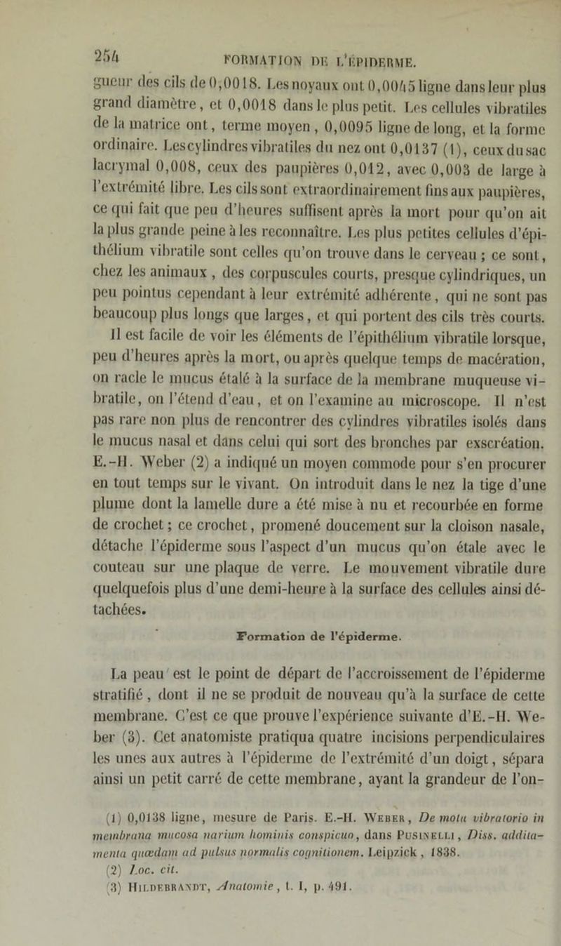 25h FORMATION DE L'RPIDERME, gueur des cils de 0,0018. Lesnoyaux ont 0,0045 ligne dans leur plus grand diamötre, et 0,0018 dans le plus petit. Les cellules vibratiles de la matrice ont, terme moyen, 0,0095 ligne de long, et la forme ordinaire. Lescylindres vibratiles du nez ont 0,0137 (1), ceux dusac lacrymal 0,008, ceux des paupieres 0,042, avec 0,003 de large a l’extrömit6 libre, Les cils sont extraordinairement fins aux paupieres, ce qui fait que peu d’heures suffisent apres la mort pour qu’on ait la plus grande peine a les reconnaitre. Les plus petites cellules d’Epi- th&amp;lium vibratile sont celles qu’on trouve dans le ceryeau ; ce sont, chez les animaux , des corpuscules courts, presque cylindriques, un peu pointus cependant a leur extr&amp;mit&amp; adhörente,, qui ne sont pas beaucoup plus longs que larges, et qui portent des cils trös courts. Il est facile de voir les &amp;l&amp;ments de l’&amp;pithölium vibratile lorsque, peu d’heures aprös la mort, ou apr&amp;s quelque temps de mac6ration, on racle le mucus &amp;tal&amp; a la surface de Ja membrane muqueuse vi- bratile, on l’ötend d’eau, et on l’examine au mieroscope. Il n'est pas rare non plus de rencontrer des cylindres vibratiles isol&amp;s dans le mucus nasal et dans celui qui sort des bronches par exser&amp;ation. E.-H. Weber (2) a indiqu&amp; un moyen commode pour s’en procurer en tout temps sur le vivant, On introduit dans le nez la tige d’une plume dont la lamelle dure a &amp;t6 mise A nu et recourb6e en forme de crochet ; ce crochet, promen&amp; doucement sur la cloison nasale, d&amp;tache l’Cpiderme sous l’aspect d’un mucus qu’on 6tale avec le couteau sur une plaque de verre. Le mouvement vibratile dure quelquefois plus d’une demi-heure a la surface des cellules ainsi de- tach6es. Formation de l’&amp;piderme. La peau’ est le point de depart de l’accroissement de l’ö&amp;piderme stratifi6 , dont il ne se produit de nouveau qu’ä la surface de cette membrane. G’est ce que prouve l’exp£erience suivante d’E.-H. We- ber (3). Get anatomiste pratiqua quatre inecisions perpendiculaires les unes aux autres a l’&amp;piderme de l’extr&amp;mite d’un doigt, separa ainsi un petit carr€ de cette membrane, ayant la grandeur de l’on- (1) 0,0138 ligne, mesure de Paris. E.-H. WEBER, De motu vibratorio in membrana mucosa narium hominis conspicuo, dans PusinetLı, Diss. addita- menta quadam ad pulsus normalis cognitionem, Leipzick , 1838. (2) Zoe. eit.