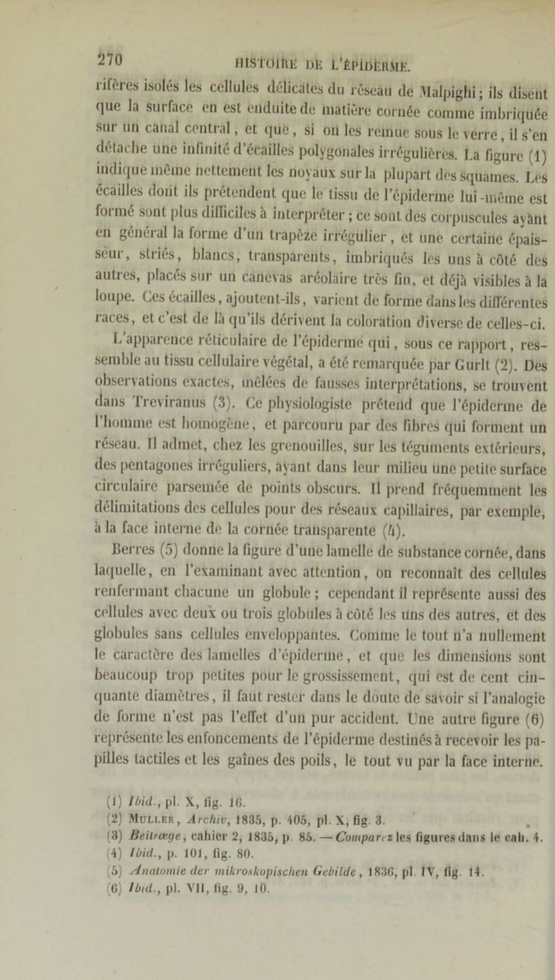 riferes isol&amp;s les cellules d£licätes du röseau de Malpighi; ils disent que la surface en est enduite de mätiöre corn&amp;e comme imbriqude sur tn canal central, et que, si on les reinue sous le verre, il s’en detache une infinite d’ecailles polygonales irr&amp;gulieres. La figure (1) indique ın&amp;me nettement les noyaux sur la plupart des squames. Les Ecailles dont ils prötendent que le tissu de l’öpiderme lui-m&amp;me est forme sont plus difficiles A interpröter ; ce sont des corpuscules ayant en general la forme d’un trap2ze irrögulier , et une certaine Epais- seur, stries, blancs, transparents, imbriques les uns A cöt&amp; des autres, plac6s sur un catevas ar6oläire tres fin, et d&amp;ja visibles A la loupe. Ces &amp;cailles, ajoutent-ils, varient de forme dans les dilferentes races, et c’est de la qu’ils dörivent la coloration diverse de celles-ci. L’apparence röticulaire de l’&amp;piderme qui, sous ce rapport , res- semble au tissu cellulaire vegetal, a 6t&amp; remarqu6e par Gurlt (2). Des observations exactes, in@löes de fausses interprötations, se trouvent dans Treviranus (3). Ce physiologiste prötend que l’&amp;piderme de l’homme est homogene, et parcouru par des fibres qui forment un reseau. I] admet, chez les grenouilles, sur les t&amp;guments ext£rieurs, des pentagones irröguliers, ayant dans leur milieu tine petite surface circulaire parsemde de points obscurs. Il prend frequemment les delimitations des cellules pour des r&amp;seaux capillaires, par exemple, ala face interne de la cornde transparente (N). Berres (5) donne la figure d’une lamelle de substance cornde, dans laquelle, en l’examinant avec attention, on reconnait des cellules renfermant chacune un globule ; cependant il reprösente aussi des cellules avec deux ou trois globules A cöt&amp; les uns des autres, et des globules sans cellules enveloppantes. Comme le tout n’a nullement le caractöre des lamelles d’&amp;piderme, et que les dimensions sont beaucoup trop petites pour le grossissement, qui est de cent cin- quante diam£tres, il faut rester dans le döute de savoir si l’analogie de forme n’est pas l’elfet d’un pur aceident. Une autre figure (6) reprösente les enfoncements de l’&amp;piderme destinds A recevoir les pa- pilles tactiles et les gaines des poils, le tout vu par la face interne. (1) Ibid., pl. X, fig. 16. (2) MuLLer, Archiv, 1835, p. 405, pl. X, fig. 3. L (3) Beitrege, cahier 2, 1835, p. 85. — Comparez les figures dans le cah. 4. (4) löid., p. 101, fig. 80. (5) Anatomie der mikroskopischen Gebilde, 1836, pl. IV, fig. 14. (6) Ibid., pl. VII, fig. 9, 10.