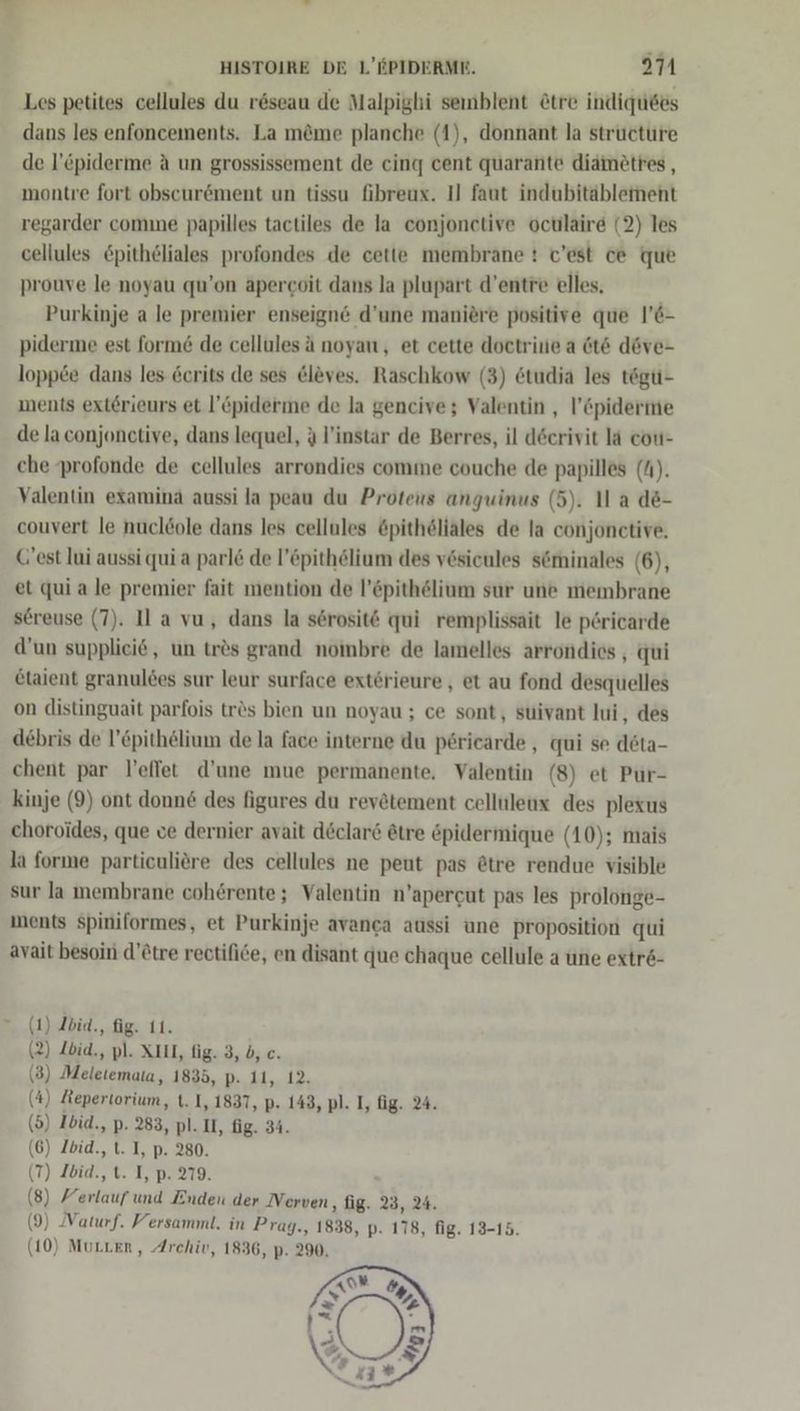 Les petites cellules du r&amp;seau de Malpighi senblent &amp;tre indiquees dans les enfoncements. La m&amp;me planche (1), donnant la structure de l’epiderme A un grossissement de cing cent quarante diametres , montre fort obseur6&amp;ment un tissu fibreux. I] faut indubitäblement regarder comme papilles tactiles de la conjonetive oculaire (2) les cellules epitheliales profondes de cette membrane : c'est ce que prouve le noyau qu’on apercoit dans la plupart d’entre elles. Purkinje a le premier enseign&amp; d’une maniere positive que l’6- piderme est form&amp; de cellules ä noyan, et cette doctriue a 6t&amp; döve- loppee dans les 6crits de ses @leves. Raschkow (3) &amp;tudia les tögu- ments extörieurs et l’&amp;piderme de la gencive; Valentin , l’&amp;piderme de la conjonctive, dans lequel, 4 l’instar de Berres, il d&amp;erivit la cou- che profonde de cellules arrondies comme couche de papilles (N). Valentin examina aussi la peau du Proteus anguinus (5). 11 a de- couvert le nucleole dans les cellules öpitheliales de la conjonctive, Cest lui aussi qui a parl&amp; de l’&amp;pithelium des vösicules seminales (6), et qui a le premier fait mention de l’öpithelium sur une membrane sereuse (7). I a vu, dans la serosit€ qui remplissait le pöricarde d’un suppliei®, un tres grand noinbre de lamelles arrondics , qui Etaient granuldes sur leur surface extörieure , et au fond desquelles on distinguait parfois tr&amp;s bien un noyau ; ce sont, suivant lui, des debris de l’Epithelium de la face interne du pericarde , qui se deta- chent par l’effet d’une mue permanente. Valentin (8) et Pur- kinje (9) ont donn&amp; des figures du rev&amp;tement celluleux des plexus choroides, que ve dernier avait döclare &amp;tre &amp;pidermique (10); mais la forme particuliöre des cellules ne peut pas @tre rendue visible sur Ja membrane coh6rente; Valentin n’apercgut pas les prolonge- ments spiniformes, et Purkinje avanca aussi une proposition qui ayait besoin d’&amp;tre rectifice, en disant que chaque cellule a une extre- ) Ibid., fig. 11. ) Zbid., pl. XII, fig. 3, b, c. ) Meletemata, 1835, p. 11, 12. ) Kepertorium, CI Be 143, pl. I, fig. 24. ) ) Ibid., L T ” 280. 7) Ibid., t. I, p. 279. 8) RER: Enden der Nerven, fig. 23, 24. (9) Vaturf. Versamml. in Prag., 1838, p. 178, fig. 13-15. (10) Murven, Archiv, 1836, p. 290, ( ( c ( ( (6 \ ( 