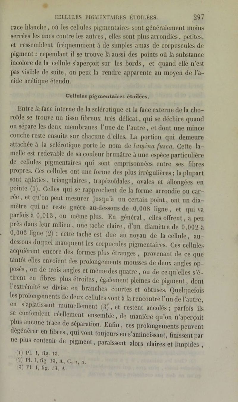 * GELLULES PIGMENTAIRES ETOILEES. 297 race blanche, oü les cellules pigmentaires sont generalement moins serr&amp;es les unes contre les autres,, elles sont plus arrondies, petites, et ressemblent frequemment A de simples amas de corpuscules de pigment : cependant il se trouve la aussi des points oü la substance incolore de la cellule s’apercoit sur les bords, et quand elle n'est pas visible de suite, on peut la rendre apparente au moyen de l’a- cide acdtique etendu. Cellules pigmentaires etoilees, Entre la face interne de la sclerotique et la face externe de la cho- roide se trouve un tissu fibreux tres delicat, qui se döchire quand on söpare les deux membranes l’une de l’autre, et dont une mince couche reste ensuite sur chacune d’elles. La portion qui demeure attach©e A la sclerotique porte le nom de lumina fusca. Cette la- melle est redevable de sa couleur brunätre a une espöce particuliere de cellules pigmentaires qui sont emprisonnees entre ses fibres propres. Ces cellules ont une forme des plus irrögulieres ; la plupart sont aplaties, triangulaires , trapözoidales, ovales et allongees en pointe (1). Celles qui se rapprochent de la forme arrondie ou car- ree, et qu’on peut mesurer jusqu’ä un certain point, ont un dia- metre qui ne reste guere au-dessous de 0,008 ligne, et qui va parfois a 0,013, ou m&amp;me plus. En göndral, elles offrent, a peu pres dans leur milieu , une tache claire, d’un diamötre de 0,002 a 0,003 ligne (2) : cette tache est due au noyau de la cellule, au- dessous dugquel manquent les corpucules pigmentaires. Ces cellules acquierent encore des formes plus Etranges , provenant de ce que tantöt elles envoient des prolongements mousses de deux angles op- poses,, ou de trois angles et m&amp;me des quatre , ou de cequ’elles s’6- tirent en fibres plus &amp;troites, egalement pleines de pigment , dont l’extremit&amp; se divise en branches courtes et obtuses. Queltquefois les prolongements de deux cellules vont ä la rencontre l’un de l’autre, en s’aplatissant mutuellement (3) , et restent accol6s ; parfois ils se confondent r&amp;ellement ensemble, de manie plus aucune trace de s@paration. Enfin , degencrer en fi re qu’on n’apercoit ces prolongements peuvent bres, qui vont toujoursen s’amincissant, finissent par ne plus contenir de Pigment, paraissent alors claires et limpides , (1) Pl. T, fig. 13. (2) Pl. T, fig. 13, A, C,a, a.