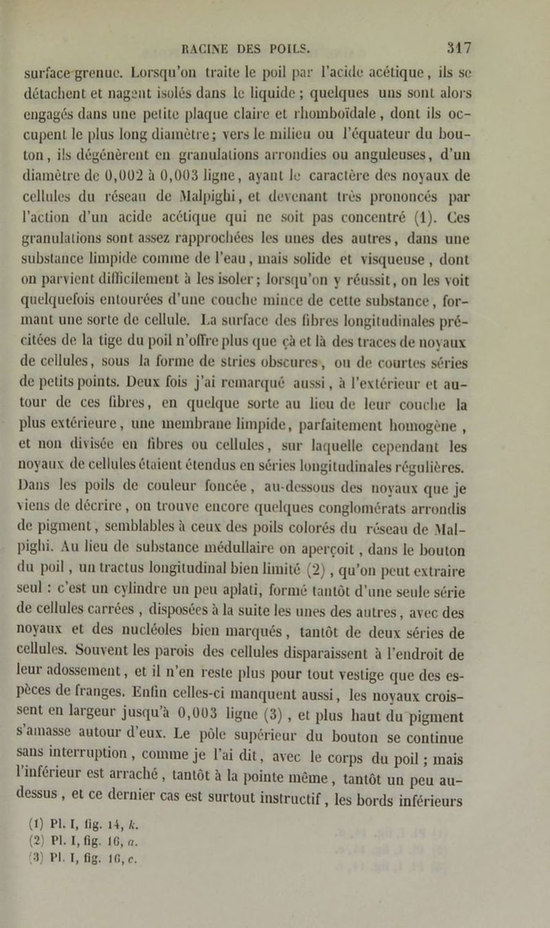 surface grenue. Lorsqu’on traite le poil par l’acide acetique, ils se dötachent et nagent isol&amp;s dans le liquide ; quelques uns sont alors engages dans une petite plaque claire et rhomboidale , dont ils oc- cupent le plus long diam£tre; vers le milieu ou l’&amp;quateur du bou- ton, ils deg&amp;nerent en granulations arrondies ou anguleuses, d’un diamötre de 0,002 A 0,003 ligne, ayant le caractere des noyaux de cellules du r&amp;seau de Malpighi, et devenant tr&amp;es prononces par l’action d’un acide acetique qui ne soit pas concentre (1). Ces granulations sont assez rapproch6es les unes des autres, dans une substance limpide comme de l’eau, mais solide et visqueuse , dont on parvient diflicilement &amp; les isoler ; lorsqu’on y r&amp;ussit, on les voit quelquefois entourees d’une couche mince de cette substance , for- mant une sorte de cellule. La surface des fibres longitudinales pr&amp;- eitees de la tige du poil n’offre plus que cä et la des traces de noyaux de cellules, sous la forme de stries obscures,, ou de courtes series de petits points. Deux fois j'ai remarqu6 aussi, A l’extörieur et au- tour de ces fibres, en quelque sorte au lieu de leur couche la plus ext£rieure, une membrane limpide, parfaitement homogöne , et non divisce en fibres ou cellules, sur laquelle cependant les noyaux de cellules &amp;taient &amp;tendus en series longitadinales rögulieres. Dans les poils de couleur foncee, au-dessous des noyaux que je viens de decrire, on trouve encore quelques conglom£rats arrondis de pigment, semblables a ceux des poils color6s du r&amp;seau de Mal- pighi. Au lieu de substance medullaire on apercoit , dans le bouton du poil , un tractus longitudinal bien limit&amp; (2) , qu’on peut extraire seul : c'est un cylindre un peu aplati, form&amp; tantöt d’une seule serie de cellules carr&amp;es , disposdes A la suite les unes des autres , avec des noyaux et des nucleoles bien marques, tantöt de deux series de cellules. Souvent les parois des cellules disparaissent A l’endroit de leur adossement, et il n’en reste plus pour tout vestige que des es- pces de franges, Enfin celles-ci manquent aussi, les noyaux crois- sent en largeur jusqu’a 0,003 ligne (3), et plus haut du pigment S’amasse autour d’eux. Le pöle superieur du bouton se continue sans interruption , comme je l’ai dit, avec le corps du poil ; mais linferieur est arrach&amp; , tantöt A la pointe meme ‚ tantöt un peu au- dessus , et ce dernier cas est surtout instructif , les bords inferieurs (1) PL T, fig. 14, k. (2) Pl. I, fig. 16, a.