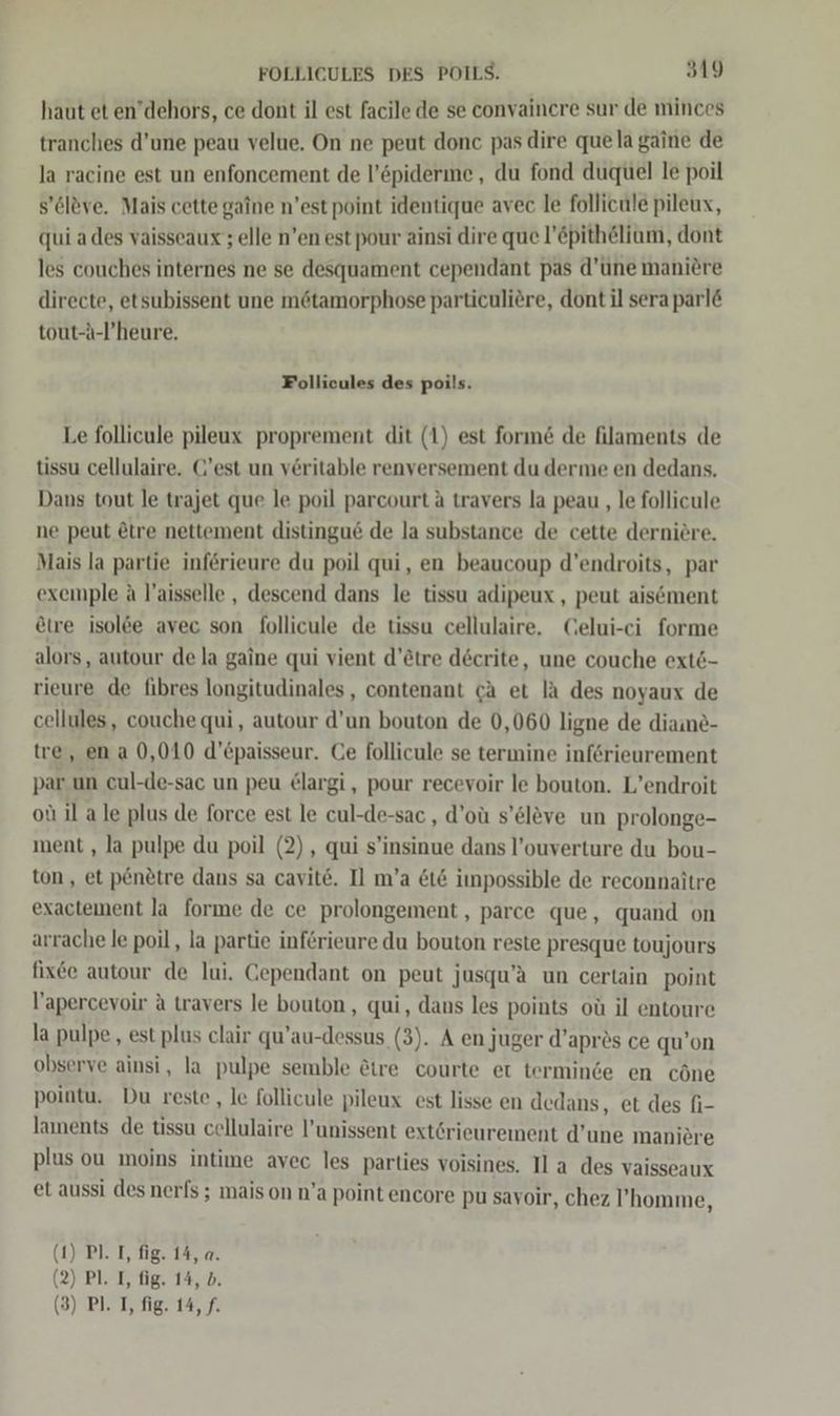 haut et en’dehors, ce dont il est facile de se convaincre sur de minces tranches d’une peau velue. On ne peut donc pas dire que la gaine de la racine est un enfoncement de l’öpiderme,, du fond duquel le poil s’ölöve, Mais cette gaine n’est point identique avec le follicule pileux, qui ades vaisseaux ; elle n’en est pour ainsi dire que l’&amp;pithelium, dont les couches internes ne se desquament cependant pas d’üne maniere directe, etsubissent une mötamorphose particuliere, dont il sera parl&amp; tout-a-l’heure. Follicules des poils. Le follicule pileux proprement dit (1) est form&amp; de filaments de tissu cellulaire. C’est un veritable renversement du derme en dedans. Dans tout le trajet que le poil parcourt a travers la peau ‚le follicule ne peut &amp;tre nettement distingu@ de la substance de cette derniere. Mais la partie inferieure du poil qui, en beaucoup d’endroits, par exemple A l’aisselle , descend dans le tissu adipeux, peut aisöment etre isolee avec son follicule de tissu cellulaire. Celui-ci forme alors, autour de la gaine qui vient d’&amp;tre decrite, une couche ext&amp;- rieure de fibres longitudinales, contenant ca et lä des noyaux de cellules, couche qui, autour d'un bouton de 0,060 ligne de diame- tre, en a 0,010 d’epaisseur. Ce follicule se termine inferieurement par un cul-de-sac un peu €largi,, pour recevoir le bouton. L’endroit ou il ale plus de force est le cul-de-sac , d’ou s’eleve un prolonge- ment , la pulpe du poil (2), qui s’insinue dans l’ouverture du bou- ton, et penetre dans sa cavite. Il m’a &amp;t&amp; impossible de reconnaitre exactement la forme de ce prolongement, parce que, quand on arrache le poil, la partie inferieure du bouton reste presque toujours fixe autour de lui. Cependant on peut jusqu’a un certain point l’apercevoir A travers le bouton, qui, dans les points oü il entoure la pulpe, est plus clair qu’au-dessus (3). A en Juger d’apres ce qu’on observe ainsi, la pulpe semble &amp;ire courte et termince en cöne pointu. Du reste , le follicule pileux est lisse en dedans, et des fi- laments de tissu cellulaire l’unissent ext6rieureiment d’une maniere plus ou moins intime avec les parties voisines. Il a des vaisseaux et aussi des nerfs ; mais on n’a point encore pu savoir, chez l’homme, (1) PL. I, fig. 14, a. (2) Pl. I, fig. 14, b.