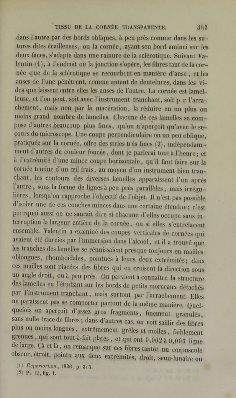 dans l’autre par des bords obliques, A peu pres comme dans les su- tures dites 6cailleuses, ou la cornde, ayant son bord aminci sur les deux faces, s’adapte dans une rainure de la sclerotique. Suivant Va- lentin (1), a l’endroit oü la jonction s’opere, les fibres tant de la cor- nee que de la sclörotique se recourbent en maniere d’anse, et les anses de l’une pen£trent, comme autant de dentelures, dans les vi- des que laissent entre elles les anses de l’autre. La corn&amp;e est lamel- leuse, et l’on peut, soit avec l’instrument tranchant, soit p r l’arra- chement, mais non par la mac£ration, la reduire en un plus ou moins grand nombre de lamelles. Chacune de ces lamelles se com- pose d’autres beaucoup plus fines, qu’on n’apergoit qu’avec le se- cours du microscope. Une coupe perpendiculaire ou un peu oblique, pratiquee sur la cornee, offre des stries tres fines (2), independam - ment d’autres de couleur foncee, dont je parlerai tout ä l’heure; et a lextremite d’une mince coupe horizontale, qu’il faut faire sur la cornde tendue d’un il frais, au moyen d’un instrument bien tran- chant, les contours des diverses lamelles apparaissent l’un apres lautre , sous la forme de lignesä peu pres parallöles, mais irrögu- lieres , lorsqu'on rapproche l’objectif de l’objet. Il n’est pas possible d’isoler une de ces couches minces dans une certaine etendue; c'est po'rquoi aussi on ne saurait dire si chacune d’elles occupe sans in- terruption la largeur entiöre de la cornde, ou si elles s’entrelacent ensemble. Valentin a examin6 des coupes verticales de cornees qui ayaient &amp;t€ durcies par l’immersion dans l’alcool, et il a trouy6 que les tranches des lamelles se r&amp;unissaient presque toujours en mailles oblongues, rhomboidales, pointues A leurs deux extr&amp;mitcs; dans ces mailles sont plac&amp;es des fibres qui en croisent la direction sous un angle droit, ou ä peu pres. On parvient ä connaitre la structure des lamelles en l’&amp;tudiant sur les bords de petits morceaux detaches par l’instrument tranchant,, mais surtout par l’arrachement. Elles ne paraissent pas se comporter partout de Ja m&amp;me maniere. Quel- quefois on apercoit d’assez gros fragments, finement granules, sans nulle trace de fibres ; dans d’autres cas, on voit saillir des fibres plus ou moins longues , exträmement gröles et molles , faiblement grenues , qui sont tout-a-fait plates , et qui ont 0,002 40,003 ligne de large. CA etlä, on remarque sur ces fibres tantöt un eorpuscule obscur, 6troit, pointu aux deux extr&amp;mites, droit, semi-lunaire ou (1) Repertorium , 1836, p- 313.