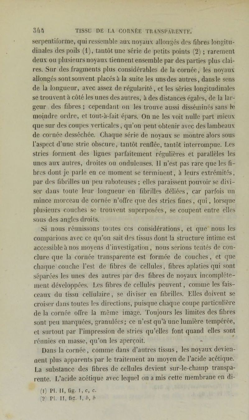 serpentiforme, qui ressemble aux noyaux allong6s des fibres longitu- dinales des poils (1), tantöt une serie de petits points (2) ; rarement deux ou plusieurs noyaux tiennent ensemble par des parties plus clai- res. Sur des fragments plus considörables de la cornse, les noyaux allong6s sontsouvent plac6s A la suite les uns des autres, dansle sens de la longueur, avec assez de regularit6 , et les s6ries longitudinales se trouvent ä cöt&amp; les unes des autres, A des distances egales, de la lar- geur. des fibres ; cependant on les trouve aussi disseininds sans he moindre ordre, et tout-A-fait &amp;pars. On ne les voit nulle part mieux que sur des coupes verticales , qu’on peut obtenir avec des lambeaux de corn6e dessöchee. Chaque serie de noyaux se montre alors sous l’aspect d’une strie obscure, tantöt renflöe, tantöt interrompue. Les stries forment des lignes parfaitement rögulieres et parallöles les unes aux autves, droites ou onduleuses, Il n’est pas rare que les fi- bres dont je parle en ce moment se terminent, A leurs extremitös, par des fibrilles un peu raboteuses ; elles paraissent pouvoir se divi- ser dans toute leur longueur en fibrilles deli6es, car parfois un mince morceau de cornee n’offre que des stries fines, qui, lorsque plusieurs eouches se trouvent superposdes, se coupent entre elles sous des angles droits. Si nous röunissons toutes ces considerations, et que nous les comparions avec ce qu’on sait des tissus dont la structure intime est accessible A nos moyens d’investigation,, nous serions tent6s de con- clure que la cornde transparente est form6e de couches, et que chargue couche l’est de fibres de cellules, fibres aplaties qui sont söpardes les unes des autres par des fibres de noyaux incomplete- ment developptes. Les fibres de cellules peuvent,, comme les fais- ceaux du tissu cellulaire, se diviser en fibrilles. Elles doivent se croiser dans toutes les directions, puisque chaqne coupe particuliere de la cornöe offre Ja m&amp;me image. Toujours les limites des fibres sont peu marqudes, granuldes; ce n’est qu’a une Jumiere temp£rce, et surtout par l’impression de stries qu’elles font quand elles sont röunies en masse, qu’on les apercoit. - Dans la cornse, comme dans d’autres tissus, les noyaux devien- aent plus apparents par le traitement au moyen de l’acide acetique. La substance des fibres de cellules devient sur-le-champ transpa- rente. L’acide acstique avec lequel on a mis cette membrane en di- (1) Pl. II, Gig. 1,c, c. SP. In, he Tb, b