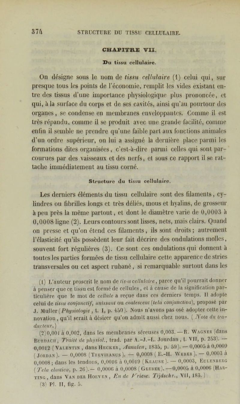 CHAPITRE VII. Du tissu cellulaire. On designe sous le nom de tissw cellulaire (1) celui qui, sur presque tous les points de l’&amp;conomie, remplit les vides existant en- tre des tissus d’une importance physiologique plus prononete, et qui, ala surface du corps et de ses cavit6s, ainsi qu’au pourtour des organes , se condense en membranes enveloppantes. Gomme il est tr&amp;s r&amp;pandu, comme il se produit avec une grande facilit6, comme enfin il semble ne prendre qu’une faible part aux fonctions animales d’un ordre sup6rieur, on lui a assign&amp; la derniere place parmi les formations dites organisdes, c’est-a-dire parmi celles qui sont par- courues par des vaisseaux et des nerfs, et sous ce rapport il se rat- tache immediatement au tissu corne. Structure du tissu cellulaire, Les derniers &amp;l&amp;ments du tissu cellulaire sont des filaments, cy- lindres ou fibrilles longs et tres delies, mous et hyalins, de grosseur a peu prös la m&amp;me partout, et dont le diametre varie de 0,0003 a 0,0008 ligne (2). Leurs contours sont lisses, nets, mais clairs. Quand on presse et qu’on &amp;tend ces filaments, ils sont droits; autrement l’ölastieitö qu’ils possedent leur fait decrire des ondulations molles, souvent fort rögulieres (3). Ce sont ces ondulations qui donnent a toutes les parties form6es de tissu cellulaire cette apparence de stries transversales ou cet aspeet ruban6, si remarquable surtout dans les (1) L’auteur proscrit le nom de tissu cellulaire, parce qu’il pourrait donner ä penser que ce lissu est form&amp; de cellules, el ä cause de la signification par- tieuliere que le mot de cellule a regue dans ces derniers temps. Il adopte celui de tissu conjonetif, unissant ou coalescent (tela conjunctiva), propos&amp; par J. Muller ( Physiologie ‚ t. I, p- 450). Nous n’avons pas os€ adopter celte in- novation , qu'il serait ä d&amp;sicer qu’on admit aussi chez nous. ( /Vote du tra- ducteur.) (2)0,001 &amp; 0,002, dans les membranes s6reuses 0,003. —R. WAGNER (dans Bunvacn, Fraite de physiol., trad. par A.-J.-L. Jourdan , t. VII, p. 253). — 0,0012 (Varenrin , dans HEcKeR, Annalen, 1835, p. 59). — 0,0005 a 0,0009 ( Jorpan ). — 0,0008 (Treviranus ). — 0,0008 ( E.-H. WEBER ). — 0,0003 A 0,0008 ; dans les tendons, 0,0016 ä 0,0019 (Krause ). — 0,0003, EULENBERG (Tela elastica, p- 26).— 0,0006 ä 0,0008 ( Genver). —0,0005 ä 0,0006 (Han- rıng , dans Van ven Hozven, Zinde Friese. Tijdschr., VII, 183.)