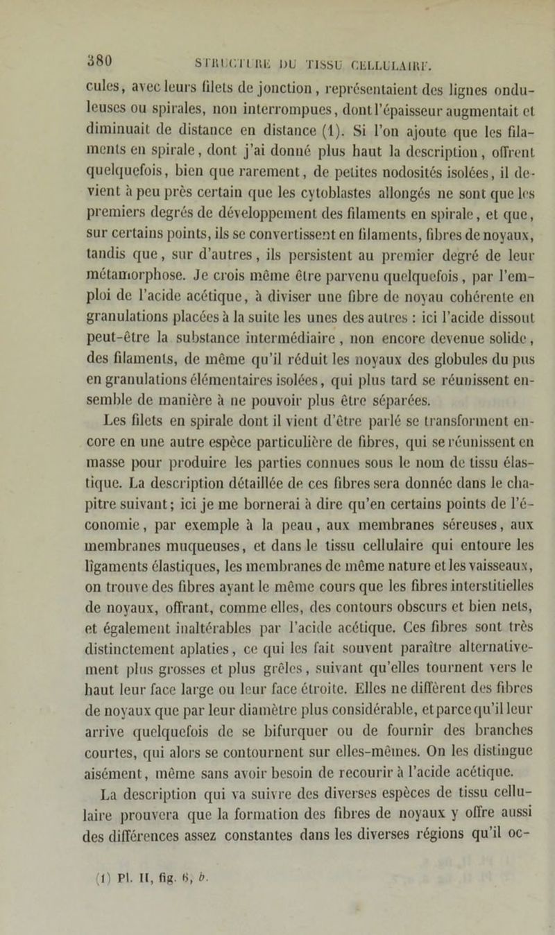 cules, avec leurs filets de jonetion , reprösentaient des lignes ondu- leuses ou spirales, non interrompues, dontl’Spaisseur augmentait et diminuait de distance en distance (1). Si l’on ajoute que les fila- ments en spirale, dont j'ai donn&amp; plus haut la description , offrent quelquefois, bien que rarement, de petites nodosit6s isol6es, il de- vient A peu prös certain que les cytoblastes allong6s ne sont que les premiers degr&amp;s de developpement des filaments en spirale, et que, sur certains points, ils se convertissent en filaments, fibres denoyaux, tandis que, sur d’autres,, ils persistent au premier degr&amp; de leur metamorphose. Je crois m&amp;me &amp;tre parvenu quelquefois , par l’em- ploi de l’acide acötique, A diviser une fibre de noyau cohörente en granulations places A la suite les unes des autres : ici l’acide dissout peut-ötre la. substance intermediaire , non encore devenue solide , des filaments, de m&amp;me qu’il röduit les noyaux des globules du pus en granulations &amp;lömentaires isoldes, qui plus tard se r&amp;unissent en- semble de maniere a ne pouvoir plus &amp;tre s6pardes, Les filets en spirale dont il vient d’ötre parl&amp; se transforıment en- core en une autre esp&amp;ce particuliere de fibres, qui se r&amp;unissent en masse pour produire les parties connues sous le nom de tissu @las- tique. La description detaillee de ces fibres sera donn6e dans le cha- pitre suivant; ici je me bornerai a dire qu’en certains points de l’6- conomie, par exemple a la peau, aux membranes sereuses, aux membranes muqueuses, et dans le tissu cellulaire qui entoure les ligaments 6lastiques, les membranes de m&amp;me nature etles vaisseaux, on trouve des fibres ayant le m&amp;me cours que les fibres interstitielles de noyaux, oflrant, comme elles, des contours obscurs et bien nets, et 6galement inaltörables par l’acide acdtique. Ces fihres sont tres distinctement aplaties, ce qui les fait souvent paraitre alternative- ment plus grosses et plus greles, suivant qu’elles tournent vers le haut leur face large ou leur face &amp;troite. Elles ne different des fibres de noyaux que par leur diamötre plus considerable, etparce qu’illeur arrive quelquefois de se bifurquer ou de fournir des branches courtes, «ui alors se contournent sur elles-möines. On les distingue aisöment, m&amp;me sans avoir besoin de recourir a l’acide acetique. La description qui va suivre des diverses esp&amp;ces de tissu cellu- laire prouvera que la formation des fibres de noyaux y ollre aussi des differences assez constantes dans les diverses rögions qu'il oc-