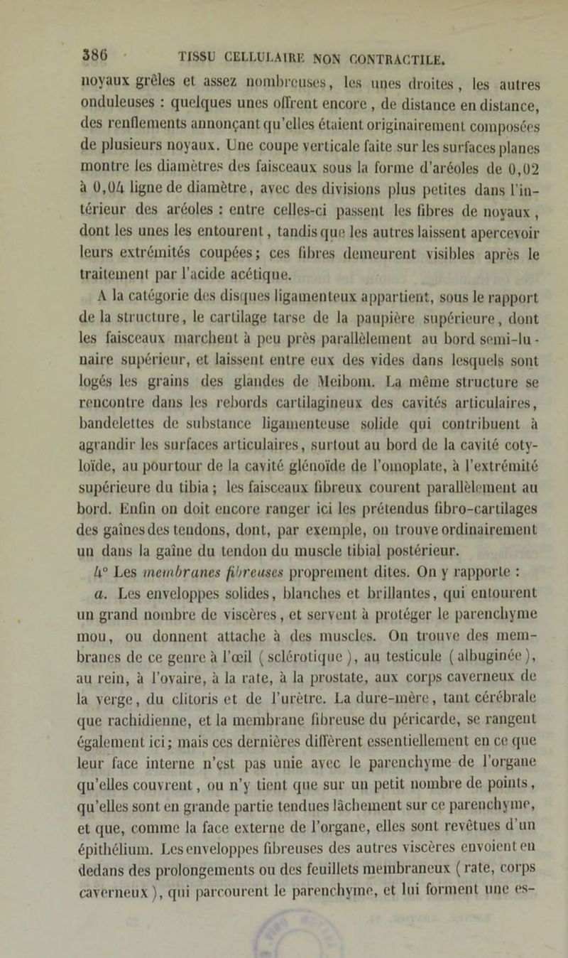 noyaux gräles et assez nombreuses, les unes droites , les autres onduleuses : quelques unes olfrent encore , de distance en distance, des renflements annongant qu’elles &amp;taient originairement compos6es de plusieurs noyaux. Une coupe verticale faite sur les surfaces planes montre les diamötres des faisceaux sous la forme d’ar6oles de 0,02 a 0,04 ligne de diamötre, avec des divisions plus petites dans l’in- t@rieur des arcoles : entre celles-ci passent les fibres de noyaux , dont les unes les entourent , tandis que les autres laissent apercevoir leurs extremites coup6es; ces fibres demeurent visibles apres le traiteınent par l’acide acetique. A la catgorie des disques ligamenteux appartient, sous le rapport de la structure, le cartilage tarse de la paupiere sup6rieure, dont les faisceaux marchent a peu prös parallölement au bord semi-lu - naire sup£rieur, et laissent entre eux des vides dans lesquels sont loges les grains des glandes de Meibom. La meme structure se rencontre dans les rebords cartilagineux des cavit6s articulaires, bandelettes de substance ligamenteuse solide qui contribuent A agrandir les surfaces articulaires, surtout au bord de la cavit&amp; coty- loide, au pourtour de la cayit&amp; glönoide de l’omoplate, a l’extr&amp;mite sup£@rieure du tibia ; les faisceaux fibreux courent parallelement au bord. Enfin on doit encore ranger ici les pr&amp;tendus fibro-cartilages des gaines des tendons, dont, par exemple, on trouve ordinairement un dans la gaine du tendon du muscle tibial posterieur. 4° Les membranes fihreuses proprement dites. On y rapporle : a. Les enveloppes solides, blanches et brillantes, qui entourent un grand nombre de visceres , et servent a protöger le parenchyme mou, ou donnent attache a des muscles. On trouve des mem- branes de ce genre A l’eeil (selerotique ), au testicule ( albuginde ), au rein, a l’ovaire, a la rate, A la prostate, aux corps caverneux de la verge, du clitoris et de l’uretre. La dure-mere, tant cerebrale que rachidienne, et la membrane fibreuse du p£ricarde, se rangent 6galement ici; mais ces dernieres different essentiellement en ce que leur face interne n’est pas unie ayec le parenchyme-de l’organe qu’elles couvrent , ou n’y tient que sur un petit nombre de points, qu’elles sont en grande partie tendues lächement sur ce parenchyme, et que, comme la face externe de l’organe, elles sont rev&amp;tues d’un &amp;pithelium. Lesenveloppes fibreuses des autres visceres envoient en dedans des prolongements ou des feuillets membraneux (rate, corps caverneux ), qui parcourent le parenchyme, et lui forment une es-