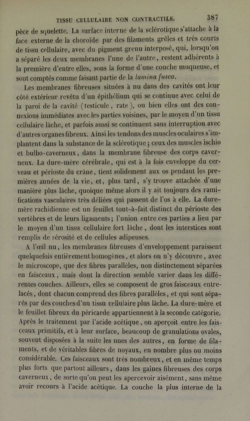 pöce de s(uelette. La surface interne de la sclerotique s’attache A la face externe de la choroide par des filaments greles et tr&amp;s courls de tissu cellulaire, avec du pigment grenu interpose, qui, lorsqu’on a scpar&amp; les deux membranes l’une de l’autre, restent adherents ä Ja premiere d’entre elles, sous la forme d’une couche muqueuse, et sont comptös comme faisant partie de la lamina fusca. Les membranes fibreuses situdes a nu dans des cavit&amp;s ont leur cöt&amp; exterieur revetu d’un Spithelium qui se continue avec celui de la paroi de la cavit&amp; (testicule, rate ), ou bien elles ont des con- nexions immeödiates avec les parties voisines, par le moyen d'un tissu cellulaire läche, et parfois aussi se continuent sans interruption avec d’autres organes fibreux. Ainsi les tendons des muscles oculaires s'im- plantent dans la substance de la sclerotique ; ceux des muscles ischio et bulbo-caverneux, dans la membrane fibreuse des corps caver- neux. La dure-mere c6rebrale, qui est A la fois enveloppe du cer- veau et p6rioste du eräne, tient solidement aux os pendant les pre- mieres anndes de la vie, et, plus tard, s’y trouve attachee d’une maniere plus läche, quoique meme alors il y ait toujours des vami- fications vasculaires trös deliees qui passent de l’os A elle. La dure- mere rachidienne est un feuillet tout-A-fait distinet du p£rioste des vertebres et de leurs ligaments; union entre ces parties a lieu par le moyen d’un tissu cellulaire fort läche , dont les interstices sont remplis de serosit&amp; et de cellules adipeuses. A Veil nu, les membranes fibreuses d’enveloppement paraissent quelquefois entierement homogenes, et alors on n’y d&amp;couvre , avec le microscope, que des fibres parallöles, non distinctement söparses en faisceaux, mais dont la direction semble varier dans les diff&amp;- rentes couches. Ailleurs, elles se composent de gros faisceaux entre- lac&amp;s , dont chacun comprend des fibres paralleles, et qui sont sepa- res par des couchesd’un tissu cellulaire plus läche. La dure-mere et le feuillet ibreux du pericarde appartiennent A la seconde categorie. Apres le traitement par l’acide ac&amp;tique , on apercoit entre les fais- ceaux primitifs, et a leur surface, beaucoup de granulations ovales, souvent disposees a la suite les unes des autres, en forme de fila- ments, et de v£ritables fibres de noyaux, en nombre plus ou moins considerable. Ces faisceaux sont tres nombreux, et en m&amp;me temps plus forts que partout ailleurs, dans les gaines fibreuses des corps caverneux, de sorte qu’on peut les apercevoir aisöment, sans möme avoir recours ä l’acide actique. La couche la plus interne de la