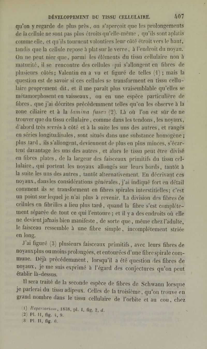 qu’on yregarde de plus pr&amp;s, on s’apercoit que les prolongements de lacellule ne sont pas plus &amp;troits qu’elle-möme , qu’ils sont aplatis comme elle, et qu’ils tournent volontiers leur cöt&amp; &amp;troit vers le haut, tandis que la cellule repose A plat sur le verre, A l’endroit du noyau. On ne peut nier que, parmi les elöments du tissu cellulaire non A maturitö, il se rencontre des cellules ıjui s’allongent en fibres de plusieurs cöt6s; Valentin en a vu et figure de telles (1) ; mais la question est de savoir si ces cellules se transforment en tissu cellu- laire proprement dit, et il me parait plus vraisemblable qu'elles se metamorphosent en vaisseaux, ou en une espece particuliöre de fibres, que j’ai deerites pr&amp;cödemment telles qu’on les observe A la zone ciliaire et a la lamina fuser: (2). LA ou l’on est sür de ne trouver que du tissu cellulaire , comme dans les tendons ‚les noyaux, d’abord tr&amp;s serres A cöt6 et A la suite les uns des autres, et rang6s en scries longitudinales, sont situ&amp;s dans une substance homogene ; plus tard , ils s’allongent, deviennent de plus en pius minces, s’6car- tent davantage les uns des autres,, et alors le tissu peut ötre divis6 en fibres plates, de la largeur des faisceaux primitifs du tissu cel- lulaire, qui portent les noyaux allonges sur leurs bords, tantöt A la suite les uns des autres , tantöt alternativement. En döcrivant ces noyaux, dansles considörations genörales, j'ai indiqu&amp; fort en detail comment ils se transforment en fibres spirales interstitielles; c'est un point sur lequel je n’ai plus A revenir. La division des fibres de cellules en fibrilles a lieu plus tard, quand la fibre s’est complete- ment separ&amp;e de tout ce qui l’entoure; et il ya desendroits oü elle ne devient jamais bien manifeste , de sorte que, m&amp;me chez l’adulte, le faisceau ressemble A une fibre simple, incomplötement stride en long. J'ai figure (3) plusieurs faisceaux primitifs, avec leurs fibres de noyauxplus ou moins prolongöes, et entourdes d’une fibre spirale com- mune. Deja pr&amp;c&amp;demment, lorsqu’il a &amp;t6 question (es fibres de noyaux, je me suis exprim&amp; A l’ögard des conjectures qu’on peut etablir la-dessus. il sera trait6 de la seconde espece de fibres de Schwann lorsque je parlerai du tissu adipeux. Celles de la troisiöme, qu’on trouve en grand nombre dans le tissu cellulaire de l’orbite et au cou, chez I) Reperiorium, 1838, pl. I, fig. 2, d. (2) Pl. 11, fig. 4,9. 3 PL. IT, fig. 6.