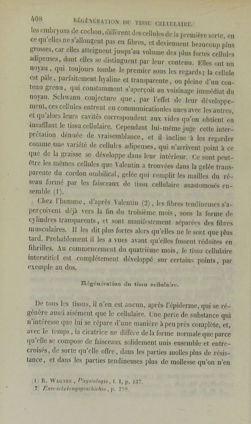 les embr'yons de cochon, different des cellules de la premiere sorte, en ce quelles ne s’allongent pas en fibres, et deviennent beaucoup plus grosses, car elles atteignent jusqu’au volume des plus fortes cellules adipeuses, dont elles se distinguent par leur contenu. Elles ont un noyau, qui toujours tombe le premier sous les regards; la cellule est päle, parfaitement hyaline et transparente, ou pleine d’un con- tenu grenu, qui constamment s’apercoit au voisinage imme6diat du noyau. Schwann conjecture que, par l’effet de leur döveloppe- ment, ces cellules entrent en communicationles unes avec les autres, et qu’alors leurs cavit6s correspondent aux vides qu’on obtient en insufllant le tissu cellulaire, Gependant lui-m&amp;me juge cette inter- prötation denude de vraisemblance, et il incline a les regarder comme une varieit de cellules adipeuses, qui n’arrivent point A ce que de la graisse se developpe dans leur interieur, Ce sont peut- &amp;tre les m&amp;mes cellules que Valentin a trouvdes dans la gel6e trans- parente du cordon ombilical, gel6e qui remplit les mailles du r6- seau forınd par les faisceaux de tissu cellulaire anastomoses en- semble (1). Chez l’homme, d’aprös Valentin (2) , les fibres tendineuses s’a- percoivent d&amp;ja vers la fin du troisieme mois , sous la forme de cylindres transparents , et sont manilestement separces des fibres musculaires. 11 les dit plus fortes alors qu’elles ne le sont que plus tard. Probablement il les a vues avant qu’elles fussent röduites en fibrilles. Au commencement du quatricme mois, Je tissu cellulaire interstitiel est complötement dövelopp6 sur certains points, par exemple au dos. Bögentration du tissu cellulaire. [3 De tous les tissus, il n’en est aucun, apres l’epiderme, qui se r&amp;- genere aussi aisement que le cellulaire. Une perie de substance qui n’intöresse que lui se röpare d’une maniere A peu pres complete, et, avec le temps ‚ la cicatrice ne differe dela forme normale que parce qu’elle se compose de faisceaux solidement unis ensemble et entre- croises, de sorte qu’elle oflre , dans les parties molles plus de rösis- tance, et dans les parties tendineuses plus de mollesse qu’on n’en (1) R. Wacnen, Physiologie, t. I, p. 137. 2?) Eintwickelungsgeschichte ,p. 210.