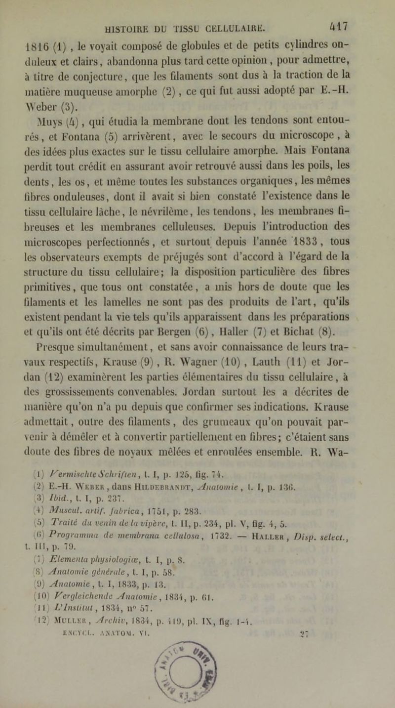 1816 (4) ‚ le voyait compos&amp; de globules et de petits cylindres on- duleux et clairs, abandonna plus tard cette opinion , pour admettre, a titre de conjecture, que les flaments sont dus A la traction de la matiere muqueuse amorphe (2) , ce qui fut aussi adopte par E.-H. Weber (3). Muys (4), qui &amp;tudia la membrane dont les tendons sont entou- res, et Fontana (5) arriverent, avec le secours du microscope , &amp; des idees plus exactes sur le tissu cellulaire amorphe. Mais Fontana perdit tout credit en assurant avoir retrouv&amp; aussi dans les poils, les dents , les os, et m&amp;me toutes les substances organiques , les m&amp;mes fibres onduleuses, dont il avait si bien constate l’existence dans le tissu cellulaire läche, le nevrileme, les tendons, les membranes fi- breuses et les membranes celluleuses. Depuis l’introduction des microscopes perfectionn6s , et surtout depuis l’annee 1833, tous les observateurs exempts de pr&amp;juges sont d’accord a l’€gard de la structure du tissu cellulaire; la disposition particuliere des fibres primitives, que tous ont constatee, a ınis hors de doute que les filaments et les lamelles ne sont pas des produits de l’art, qu’ils existent pendant la vie tels qu’ils apparaissent dans les pr&amp;parations et qu’ils ont &amp;t&amp; decrits par Bergen (6), Haller (7) et Bichat (8). Presque simultanöment, et sans avoir connaissance de leurs tra- - vaux respectils, Krause (9), R. Wagner (10), Lauth (11) et Jor- dan (12) examinörent les parties &amp;lömentaires du tissu cellulaire, A des grossissements convenables. Jordan surtout les a d£crites de maniere qu’on n’a pu depuis que confirmer ses indications. Krause admettait,, outre des filaments, des grumeaux qu’on pouyait par- venir a demeler et A convertir partiellement en fibres; c’&amp;taient sans doute des fibres de noyaux meldes et enrouldes ensemble. R. Wa- (1) Yermischte Schriften, t. I, p. 125, fig. 74. (2) E.-H. WEBER , dans HıLDEBRANDT, Anatomie , t. I, p. 136. (8) Ibid., 1. I, p. 237. 4) Muscul, artif. fabrica, 1751, p. 283. (5) Traitö du venin de la vipere, t. II, p. 234, pl. V, fig. 4, 5. 6) Programma de membrana cellulosa, 1732. — HALLER ‚ Disp. select., 101,979. (7) Elementa physiologie, t. I, p. 8. $) Anatomie generale, t. I, p. 58. (9) Anatomie , t. I, 1833, p. 13. (10) Yergleichende Anatomie , 1834, p. 61. 11) Z’Institut , 1834, n° 57. 12) Murten, Archiv, 1834, p. 419, pl. IX, fig. 1-1. ENCYCL. ANATOM. VI. 27 - 