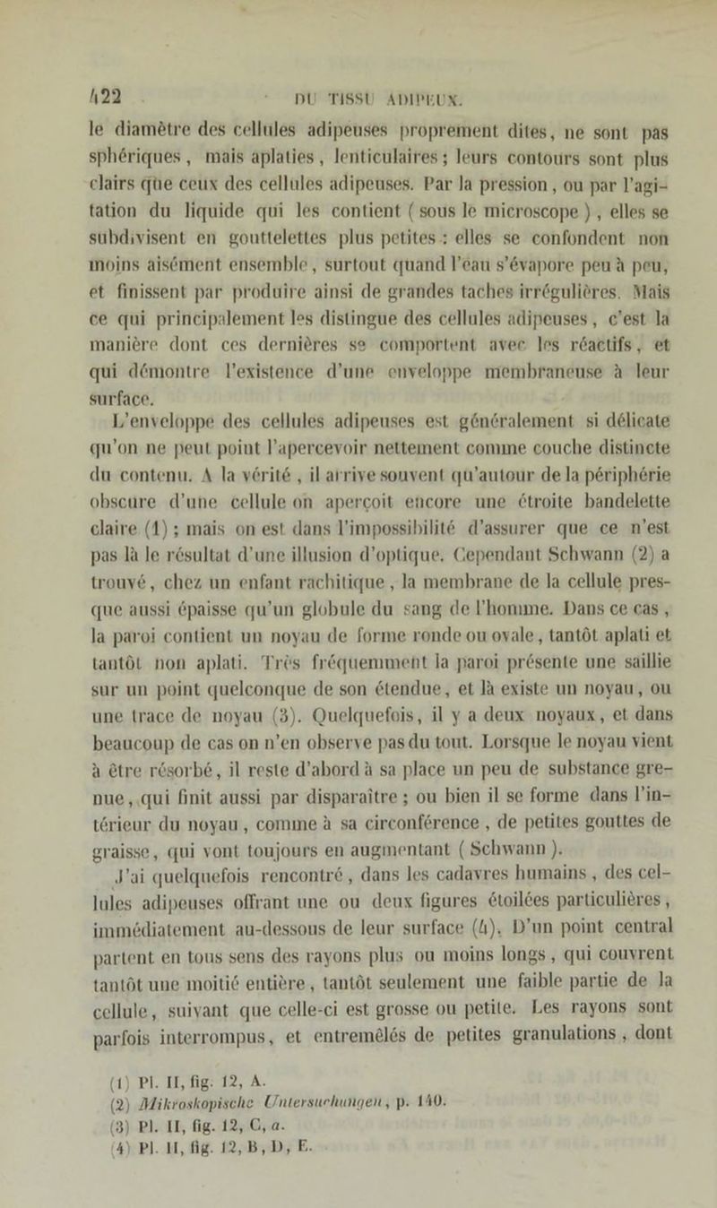 le diametre des cellules adipeuses proprement dites, ne sont pas spheriques , mais aplaties , Ientieulaires ; leurs contours sont plus clairs que ceux des cellules adipeuses. Par la pression , ou par l’agi- tation du liquide qui les contient ( sous le mieroscope ) , elles se subdivisent en gouttelettes plus petites : elles se confondent non moins aiscment ensemble , surtout quand l’eau s’&amp;vapore peu A peu, et finissent par produire ainsi de grandes taches irröguliöres. Mais ce qui principalement les distingue des cellules adipeuses , c’est la maniere dont ces dernieres se comportent avec les r6actifs, et qui d@montre l’existence d’une enveloppe membraneuse A leur surface. L’enveloppe des cellules adipeuses est g@nöralement si delicate qu’on ne peut point l’apercevoir nettement comme couche distinete du contenu. A la verite ‚il arrive sonvent qu’autour de la peripherie obseure d’une cellule on apercoit encore une 6troite bandelette claire (1) ; mais on est dans l’impossibilite d’assurer que ce n’est pas la le rösultat d’une illusion d’optique. Gependant Schwann (2) a trouv6, chez un enfant rachitique , la membrane de la cellule pres- que aussi epaisse qu’un globule du sang de ’homme. Dans ce cas, la paroi contient un noyau de forme ronde ou ovale, tantöt aplati et tantöt non aplati. Trös frequemment la paroi pr6sente une saillie sur un point quelconque de son etendue, et Ja existe un noyau, ou une trace de noyau (3). Quelquefois, il ya deux noyaux, et dans beaucoup de cas on n’en observe pas du tout. Lorsque le noyau vient a ötre rösorb6 , il reste d’abord A sa place un peu de substance gre- nue ,.qui finit aussi par disparaitre ; ou bien il se forme dans l’in- törieur du noyau, comme A sa circonference , de petites gouttes de graisse, qui vont toujours en augmentant (Schwann ). J’ai quelquefois rencontre , dans les cadavres humains , des cel- Iules adipeuses offrant une ou deux figures &amp;toil6es particulieres , immediatement au-dessous de leur surface (4). D’un point central partent en tous sens des rayons plus ou moins longs , qui couvrent tantöt une moiti6 entiere,, tantöt seulement une faible partie de la cellule, suivant que celle-ci est grosse ou petile. Les rayons sont parfois interrompus, et entrem&amp;lös de petites granulations , dont (1) Pl. II, fig: 12, A. (2) Mikroskopische Untersuchungen, p: 140. (3) Pl. II, fig. 12, C, a. (4) Pl. II, fig. 12, B,D, E.