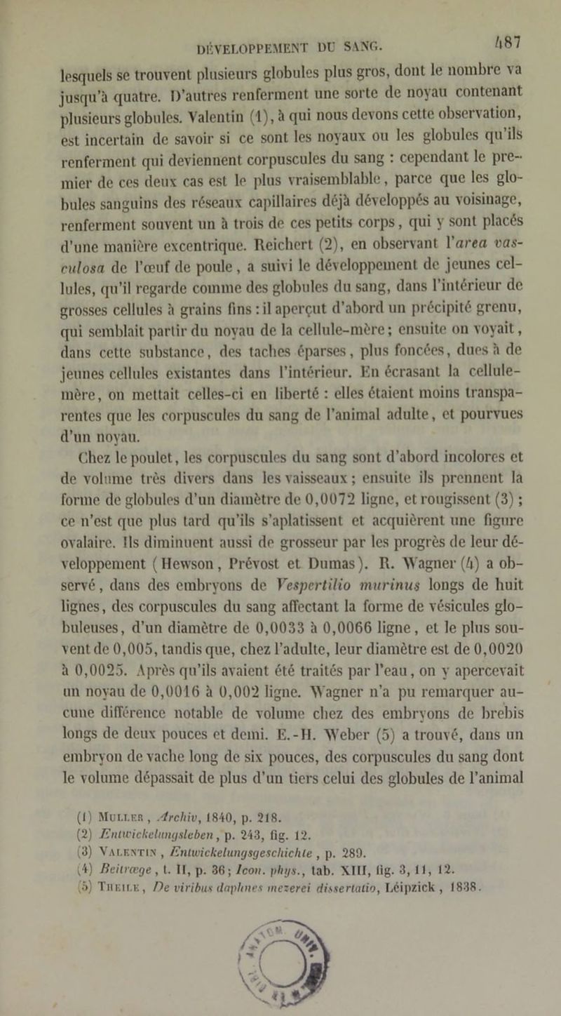 DEVELOPPEMENT DU SANG. h87 lesquels se trouvent plusieurs globules plus gros, dont le nombre va jusqu’a quatre. D’autres renferment une sorte de noyau contenant plusieurs globules. Valentin (1), A qui nous devons cette observation, est incertain de savoir si ce sont les noyaux ou les globules qu’ils renferment qui deviennent corpuscules du sang : cependant le pre-- mier de ces deux cas est le plus vraisemblable , parce que les glo- bules sanguins des r&seaux capillaires d&ja developp£s au voisinage, renferment souvent un A trois de ces petits corps, qui y sont plac&s d’une maniöre excentrique. Reichert (2), en observant l’area vas- culosa de P’oeuf de poule, a suivi le döveloppement de jeunes cel- Iules, qu’il regarde comme des globules du sang, dans l’interieur de grosses cellules A grains fins :ilapergut d’abord un pr&cipit grenu, qui semblait partir du noyau de la cellule-mere; ensuite on voyait, dans cette substance, des taches @parses , plus fonc6es, dues A de jeunes cellules existantes dans l’intörieur. En &crasant la cellule- möre, on mettait celles-ci en libert6 : elles &taient moins transpa- rentes que les corpuscules du sang de l’animal adulte, et pourvues d’un noyan. Chez le poulet, les corpuscules du sang sont d’abord incolores et de volume tr&s divers dans les vaisseaux ; ensuite ils prennent la forme de globules d’un diametre de 0,0072 ligne, et rougissent (3) ; ce n’est que plus tard qu’ils s’aplatissent et acquierent une figure ovalaire. Ils diminuent aussi de grosseur par les progres de leur d&- veloppement (Hewson, Pr&vost et Dumas). R. Wagner (h) a ob- serve, dans des embryons de Vespertilio murinus longs de huit lignes, des corpuscules du sang affectant la forme de vesicules glo- buleuses, d’un diamötre de 0,0033 a 0,0066 ligne, et le plus sou- vent de 0,005, tandis que, chez l’adulte, leur diamötre est de 0,0020 a 0,0025. Apres qu’ils avaient 6t& traites par l’eau, on y apercevait un noyau de 0,0016 a 0,002 ligne. Wagner n’a pu remarquer au- cune difference notable de volume chez des embryons de hrebis longs de deux pouces et demi. E.-H. Weber (5) atrouve, dans un embryon de vache long de six pouces, des corpuscules du sang dont le volume depassait de plus d’un tiers celui des globules de l’animal (1) Murrer, Zrehiv, 1840, p. 218. (2) Entwickelungsleben, p. 243, fig. 12. (3) Varentin, Zntwiekelungsgeschichte , p. 289. (4) Beitrege ‚t. II, p. 36; Icon. phys., tab. XIII, fig. 3, 11, 12. (5) Tueıne, De viribus daphnes mezerei dissertatio, Leipzick , 1838.