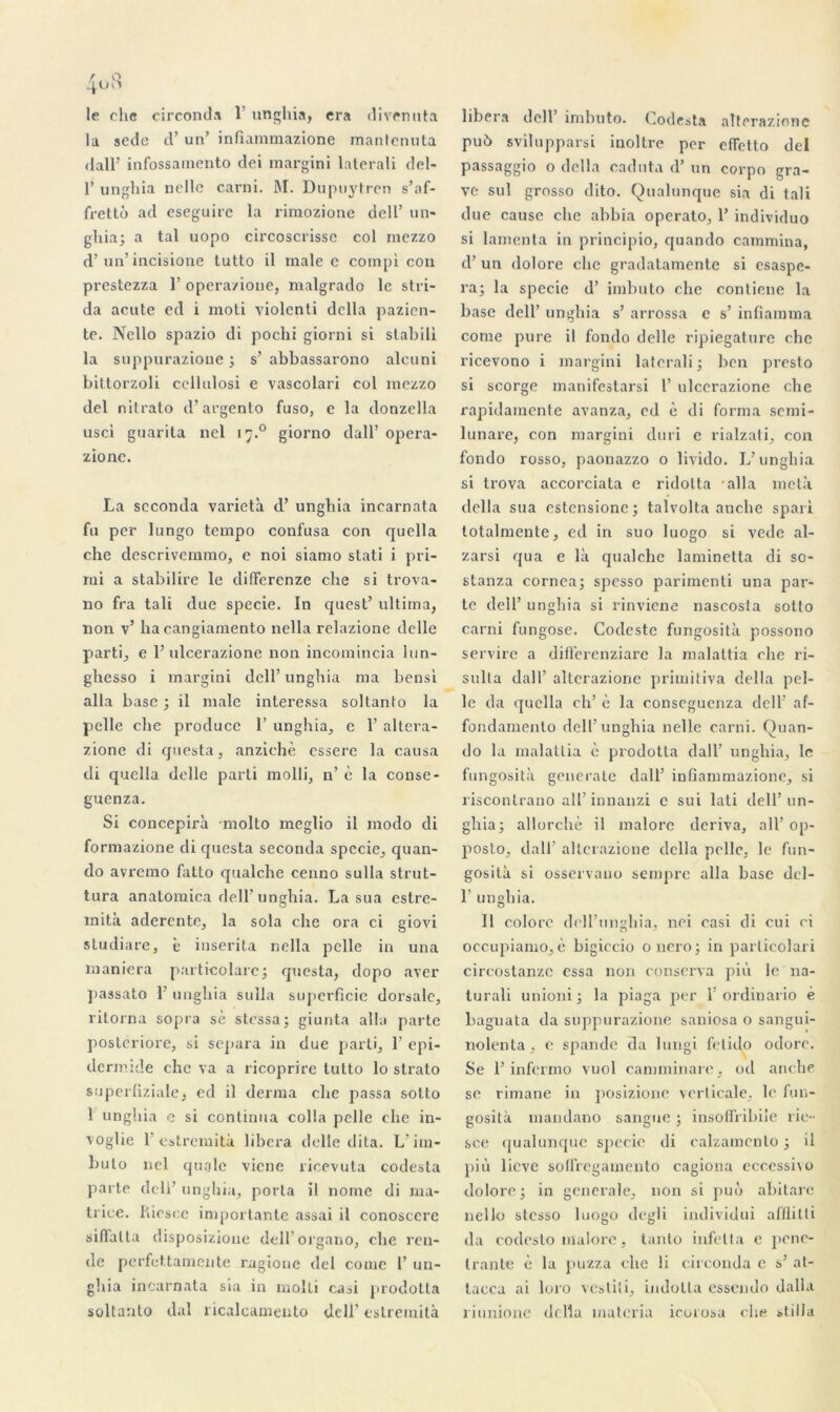 le elie circoncis 1 unghia, era divcnuta la scde d’un’ infiammazione mantenuta dall’ infossainento dei margini laterali del- 1’ unghia nelle carni. M. Dupuytren s’af- frettô ad eseguirc la rimozione dell’ un- ghia; a tal uopo circoscrisse col mezzo d’un’ incisione tutto il male c compi cou prestezza 1’ opera/ioue, malgrado le stri- da acute ecï i moti violenti délia pazien- te. Nello spazio di pochi giorni si stabili la suppurazioue ; s’ abbassarono alcuni bittorzoli cellulosi e vascolari col mezzo del nitrato d’argento fuso, e la donzclla usci guarita nel 17.0 giorno dall’ opera- zionc. La seconda varietà d’unghia incarnata fa per lungo tempo confusa con quella che descrivemmo, e noi siamo stati i pri- rui a stabilire le differenze che si trova- no fra tali due specie. In quest’ ultima, non v’ ha cangiamento nella relazione dclle parti, e F ulcerazione non incomincia lun- ghesso i margini dell’unghia ma bensi alla base ; il male intéressa soltanto la pelle clie produce F unghia, c F altera- zione di questa, anziehè essere la causa di quella delle parti molli, n’ c la conse- guenza. Si concepirà molto meglio il modo di formazione di questa seconda specie, quan- do avremo fatto qualche cenno sulla strut- tura anatomica dell’unghia. La sua eslre- mità aderente, la sola che ora ci giovi studiare, è inserita nella pelle in una maniera particolare; questa, dopo aver passato F unghia sulla superficie dorsale, ritorna sopra sè stessa; giunta alla parte posteriore, si sépara iu due parti, F epi- dermide che va a ricoprire tutto lo strato superfiziale, ed il derma che passa solto 1 unghia e si continua colla pelle che in- voglie 1 estremità libéra delle dita. L iin- bulo nel qualc vicne ricevula codesta parte deli’ unghia, porta il nome di ma- trice. Riesee importante assai il conoscere siffatta disposizione dell organo, che ren- de perfettauiente ragioue del corne F un- gliia incarnata sia in molli casi prodotla soltanto dal ricalcameuto dell’ estremità libéra dell imbuto. Codesta alterazione pub svilupparsi inoltre per cfïctto del passaggio o délia caduta d’un corpo gra- ve sul grosso dito. Qualunque sia di tali due cause che abbia operato, F individuo si lamenta in principio, quando cammina, d’un dolore clic gradatamente si esaspe- ra; la specie d’ imbuto che conlione la base dell’ unghia s’ arrossa e s’ infiamma corne pure il foiulo delle ripiegature che ricevono i margini laterali; ben presto si scorge manifestarsi F ulcerazione che rapidamente avanza, ed è di forma semi- lunare, con margini duri e rialzati, con fondo rosso, paonazzo o livido. L’unghia si trova accorciata e ridolta alla meta délia sua ostcnsionc ; talvolta anche spari totalmente, ed in suo luogo si vede al- zarsi qua e là qualche laminetta di so- stanza cornca; spesso parimenti una par- te dell’ unghia si rinvicne nascosta sotto carni fungose. Codcstc fungosità possono servire a difFerenziare la malattia che ri- sulta dall’ alterazione primitiva délia pel- le da quella ch’ è la conseguenza dell’ af- fondamento dell’unghia nelle carni. Quan- do la malattia è prodotla dall’ unghia, le fungosità generatc dall’ infiammazione, si riscontrano ail’innanzi e sui lati dell’un- ghia; allorchè il malore dériva, ail’op- posto, dall’ alterazione délia pelle, le fun- gosità si osservauo sempre alla base dcl- F unghia. Il colore dell’unghia, nei casi di cui ci occupiamo, è bigiccio ouero; in particolari circostanzc essa non conserva piii le na- turali unioni; la piaga per F ordinario è baguata da suppurazione saniosa o sangui- nolenta, e spande da lungi feliclo odore. Se F infermo vuol camminare , od anche se rimane in posizionc verticale, le fun- gosità inandano sangue ; insoffribiie rie- sce qualunque specie di calzamenlo ; il più lieve sotfregamento cagiona eccessi\o dolore; in generale, non si puô abitare nello stesso luogo degli individui afflitti da codesto malore, tanto iufetta e péné- trante è la puzza che li circonda e s’ at- tacca ai loro vestili, indolta essendo dalla riunione délia maleria icorosa che stilla