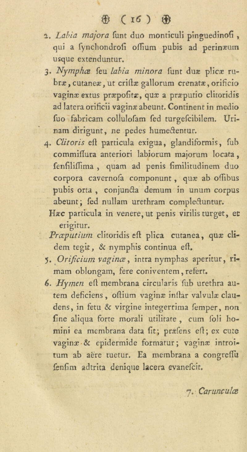 © C IO © l. Labia majora funt duo monticuli pinguedinofi , qui a fynchondrofi ofiium pubis ad perinxuin usque extenduntur. 3. Nymphce feu labia minora funt dux plicx ru- brae, cutaneae, ut crifix gallorum crenatx, orificio vaginxextus prxpofitae, qux a prxputio clitoridis ad latera orificii vaginae abeunt. Continent in medio fuo fabricam collulofam fed turgefcibilem. Uri- nam dirigunt, ne pedes hume&entur. 4. Clitoris efi particula exigua, glandiformis, fub commifiura anteriori labiorum majorum locata, fenfilifiima , quam ad penis fimilitudinem duo corpora cavernofa componunt, qux ab ofiibus pubis orta , conjun&a demum in unum corpus abeunti fed nullam urethram comple&untur. Haec particula in venere, ut penis virilis turget, ed erigitur. Praeputium clitoridis efi plica cutanea, quae cli- dem tegit, & nymphis continua efi. 5. Orificium vaginae, intra nymphas aperitur, ri- mam oblongam, fere coniventem, refert. (3. Hymen efi membrana circularis fub urethra au- tem deficiens , ofiium vaginae infiar valvulae clau- dens, in fetu & virgine integerrima femper, non fine aliqua forte morali utilitate , cum foli ho- mini ea membrana data fit; prxfens efi; ex cute vaginae & epidermide formatur; vagina: introi- tum ab aere tuetur. Ea membrana a congrefiu fenfim adtrita denique lacera evanefeit.