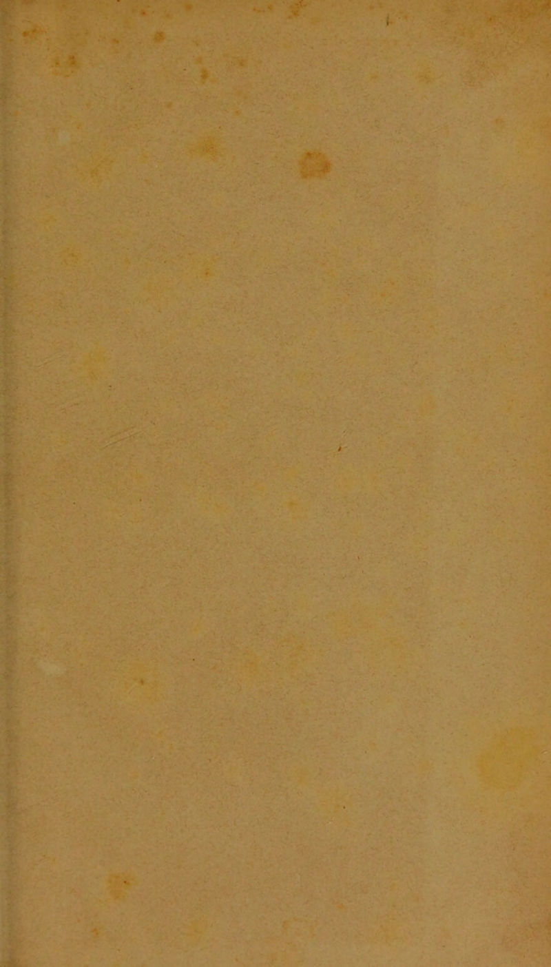 l m* * • * t * i ‘