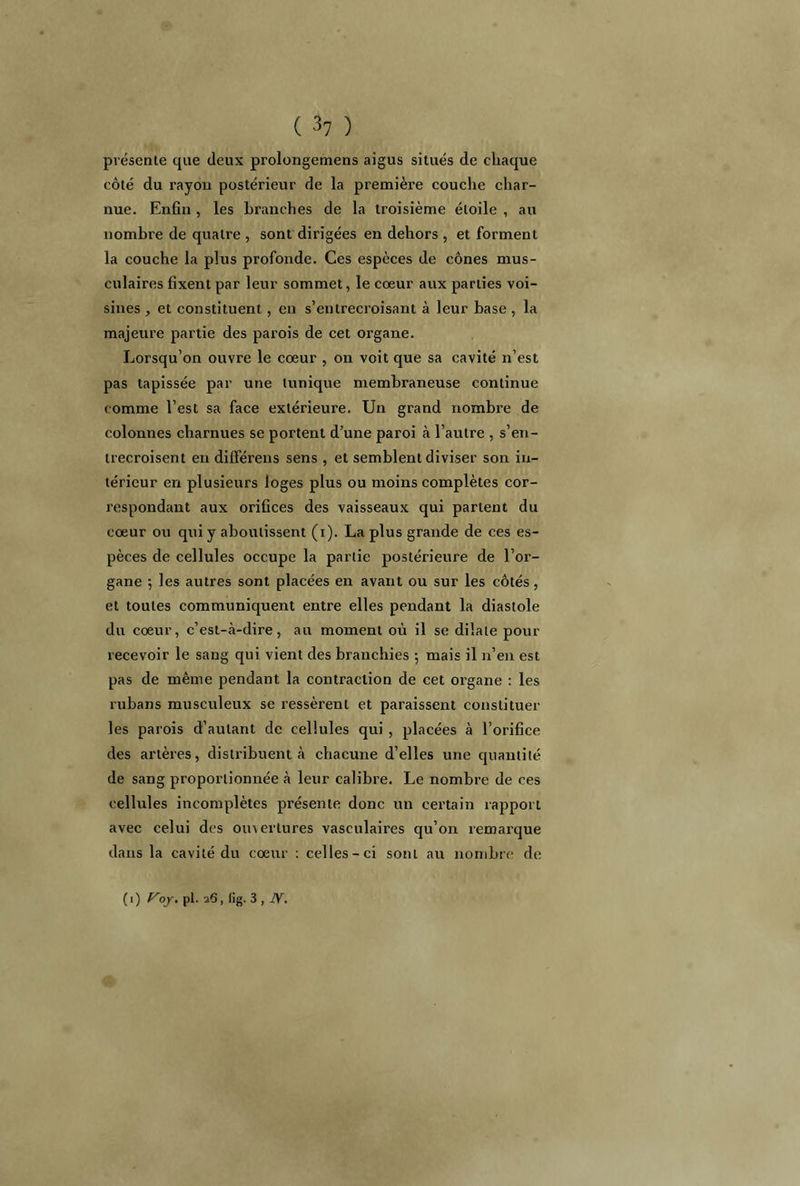 présente que deux prolongemens aigus situés de chaque côté du rayon postérieur de la première couche char- nue. Enfin , les branches de la troisième étoile , au nombre de quatre , sont dirigées en dehors , et forment la couche la plus profonde. Ces espèces de cônes mus- culaires fixent par leur sommet, le cœur aux parties voi- sines , et constituent, en s’entrecroisant à leur base, la majeure partie des parois de cet organe. Lorsqu’on ouvre le cœur , on voit que sa cavité n’est pas tapissée par une tunique membraneuse continue comme l’est sa face extérieure. Un grand nombre de colonnes charnues se portent d’une paroi à l’autre , s’en- trecroisent en différens sens , et semblent diviser son in- térieur en plusieurs loges plus ou moins complètes cor- respondant aux orifices des vaisseaux qui partent du cœur ou qui y aboutissent (i). La plus grande de ces es- pèces de cellules occupe la partie postérieure de l’or- gane 5 les autres sont placées en avant ou sur les côtés , et toutes communiquent entre elles pendant la diastole du cœur, c’est-à-dire, au moment où il se dilate pour recevoir le sang qui vient des branchies -, mais il n’en est pas de même pendant la contraction de cet organe : les rubans musculeux se ressèrent et paraissent constituer les parois d’autant de cellules qui , placées à l’orifice des artères, distribuent à chacune d’elles une quantité de sang proportionnée à leur calibre. Le nombre de ces cellules incomplètes présente donc un certain rapport avec celui des omerlures vasculaires qu’on remarque dans la cavité du cœur : celles-ci sont au nombre de