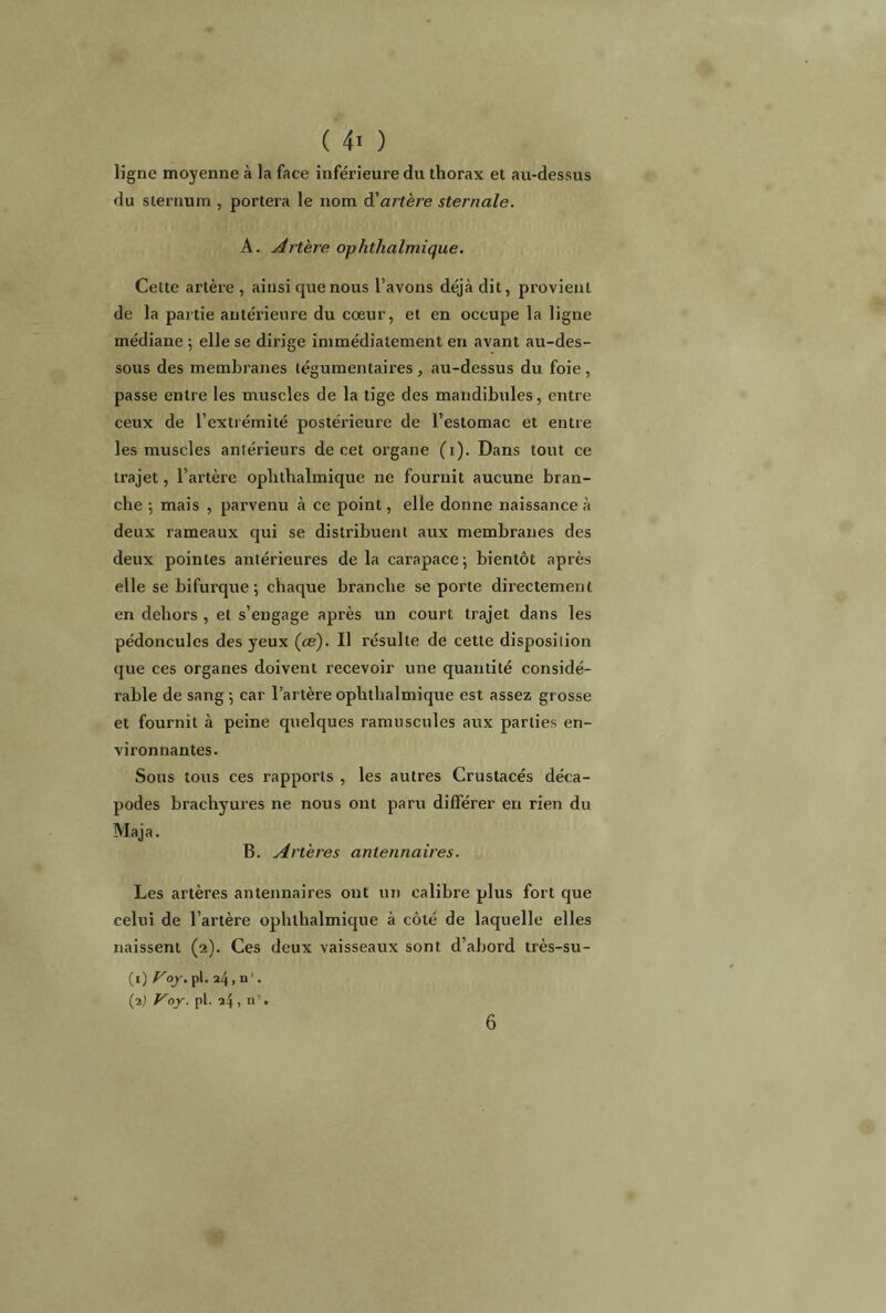 ligne moyenne à la face inférieure du thorax et au-dessus du sternum , portera le nom d'artère sternale. A. Ait'ere ophthalmique. Celte artère , ainsi que nous l’avons déjà dit, provient de la partie antérieure du coeur, et en occupe la ligne médiane ; elle se dirige immédiatement en avant au-des- sous des membranes légumentaires , au-dessus du foie , passe entre les muscles de la tige des mandibules, entre ceux de l’extrémité postérieure de l’estomac et entre les muscles antérieurs de cet organe (1). Dans tout ce ti’ajet, l’artère ophthalmique ne fournit aucune bran- che ; mais , parvenu à ce point, elle donne naissance à deux rameaux qui se distribuent aux membranes des deux pointes antérieures de la carapace; bientôt après elle se bifurque; chaque branche se porte directement en dehors , et s’engage après un court trajet dans les pédoncules des yeux («?). Il résulte de cette disposition que ces organes doivent recevoir une quantité considé- rable de sang ; car l’artère ophthalmique est assez grosse et fournit à peine quelques ranniscules aux parties en- vironnantes. Sous tous ces rapports , les autres Crustacés déca- podes brachyures ne nous ont paru différer en rien du Maja. B. Artères antennaires. Les artères antennaires ont un calibre plus fort que celui de l’artère ophthalmique à côté de laquelle elles naissent (2). Ces deux vaisseaux sont d’abord très-su- (1) Voy. pl. il\, n '. (2] Voy. pl. 24, n’. 6
