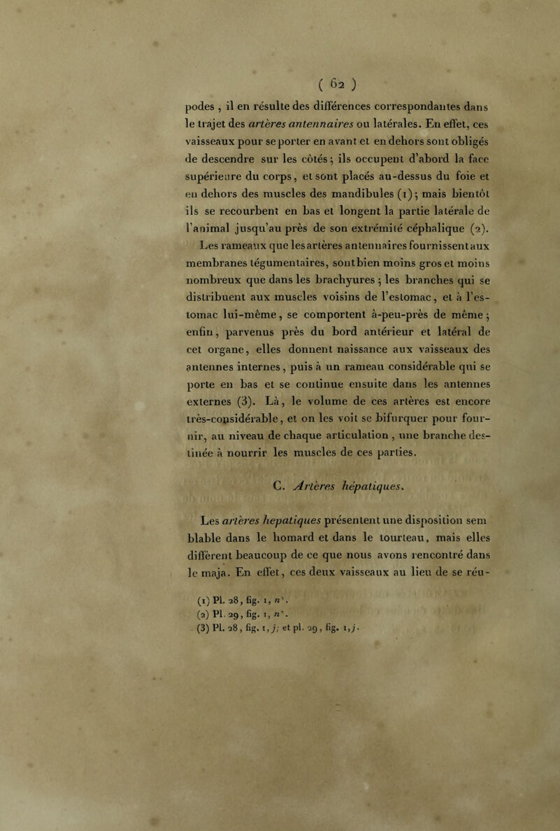 podes , il en résulte des différences correspondantes dans le trajet des arlèi'es antennaires ou latérales. En effet, ces vaisseaux pour se porter en avant et en dehors sont obligés de descendre sur les côtés ; ils occupent d’abord la face supérieure du corps, et sont placés au-dessus du foie et en dehors des muscles des mandibules (1)5 mais bientôt ils se recourbent en bas et longent la partie latérale de l’animal jusqu’auprès de son extrémité céphalique (2). Les rameaux que les artères antennaires fournissent aux membranes tégumentaires, sontbien moins gros et moins nombreux que dans les brachyures ; les branches qui se distribuent aux muscles voisins de l’estomac, et à l’es- tomac lui-même, se comportent à-peu-près de même -, enfin, parvenus près du bord antérieur et latéral de cet organe, elles donnent naissance aux vaisseaux des antennes internes , puis à un rameau considérable qui se porte en bas et se continue ensuite dans les antennes externes (3). Là, le volume de ces artères est encore très-considérable, et on les voit se bifurquer pour four- nir, au niveau de chaque articulation , une branche des- tinée à nourrir les muscles de ces parties. C. Artères hépatiques. Les artères hépatiques présentent une disposition sem blable dans le homard et dans le tourteau, mais elles diffèrent beaucoup de ce que nous avons rencontré dans le maja. En effet, ces deux vaisseaux au lieu de se réu- (1) PI. 28, fig. i, n\ (2) PI. 29, fig. 1, n\ (3) PI. 28, fig. 1 ,j; et pl. 29, fig. 1