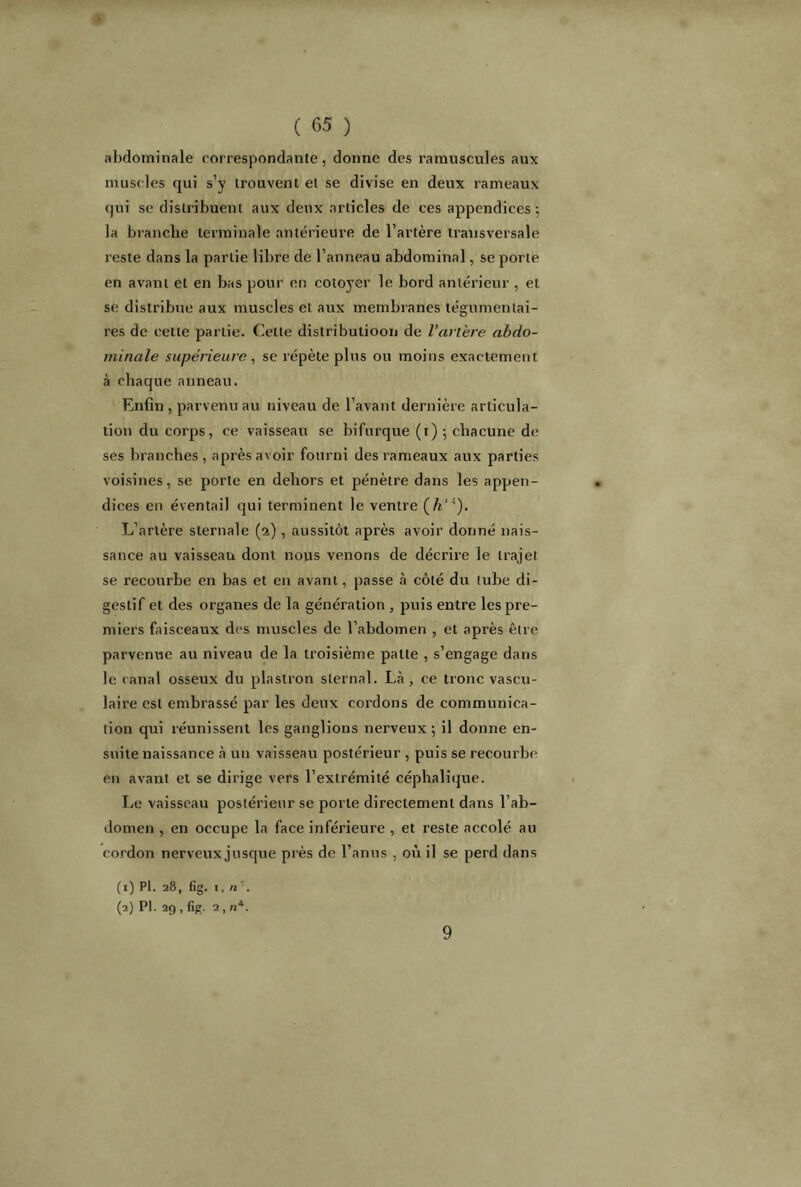 abdominale correspondante, donne des ramuscules aux muscles qui s’y trouvent et se divise en deux rameaux qui se distribuent aux deux articles de ces appendices; la branche terminale antérieure de l’artère transversale reste dans la partie libre de l’anneau abdominal, se porte en avant et en bas pour en cotoyer le bord antérieur , et se distribue aux muscles et aux membranes tégumenlai- res de cette partie. Cette distributioon de l’artère abdo- minale supérieure , se répète plus ou moins exactement à chaque anneau. Enfin , parvenu au niveau de l’avant dernière articula- tion du corps, ce vaisseau se bifurque (t) ; chacune de ses branches , après avoir fourni des rameaux aux parties voisines, se porte en dehors et pénètre dans les appen- dices en éventail qui terminent le ventre (h'1). L’artère sternale (2) , aussitôt après avoir donné nais- sance au vaisseau dont nous venons de décrire le trajet se recourbe en bas et en avant, passe à côté du tube di- gestif et des organes de la génération , puis entre les pre- miers faisceaux des muscles de l’abdomen , et après être parvenue au niveau de la troisième patte , s’engage dans le canal osseux du plastron sternal. Là, ce tronc vascu- laire est embrassé par les deux cordons de communica- tion qui réunissent les ganglions nerveux ; il donne en- suite naissance à un vaisseau postérieur , puis se recourbe en avant et se dirige vers l’extrémité céphalique. Le vaisseau postérieur se porte directement dans l’ab- domen , en occupe la face inférieure , et reste accolé au cordon nerveux jusque près de l’anus , où il se perd dans (1) Pl. 28, fig. 1, (2) Pl. 29, fig. 2, H4. 9