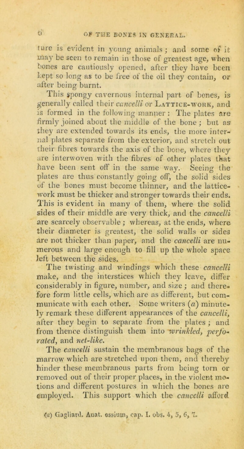 fvire is evident in young animals; and some o( it may be seen to remain in those of greatest age, when bones are cautiously opened, after they have been kept so long as to be free of the oil they contain, or after being burnt. This spongy cavernous internal part of bones, is generally called their cancelli or Lattice-work, and is formed in the following manner : The plates are firmly joined about the middle of the bone; but as they are extended towards its ends, the more inter- nal plates separate from the exterior, and stretch out their fibres towards the axis of the bone, where they are interwoven with the fibres of other plates that have been sent off in the same way. Seeing the plates are thus constantly going off, the solid sides of the bones must become thinner, and the lattice- work must be thicker and stronger towards their ends. This is evident in many of them, where the solid sides of their middle are very thick, and the cancelli are scarcely observable ; whereas, at the ends, wdiere their diameter is greatest, the solid walls or sides are not thicker than paper, and the cancelli are nu- merous and large enough to fill up the whole space left between the sides. The twisting and windings which these cancelli make, and the interstices which they leave, differ considerably in figure, number, and size ; and there- fore form little cells, which are as different, but com- municate with each other. Some writers (a) minute- ly remark these different appearances of the cancelli, after they begin to separate from the plates ; and from thence distinguish them into -wrinkled, perjo* rated, and net-like. The cancelli sustain the membranous bags of the marrow' which are stretched upon them, and thereby hinder these membranous parts from being torn or removed out of their proper places, in the violent mo- tions and different postures in which the bones are employed. This support which the cancelli afford