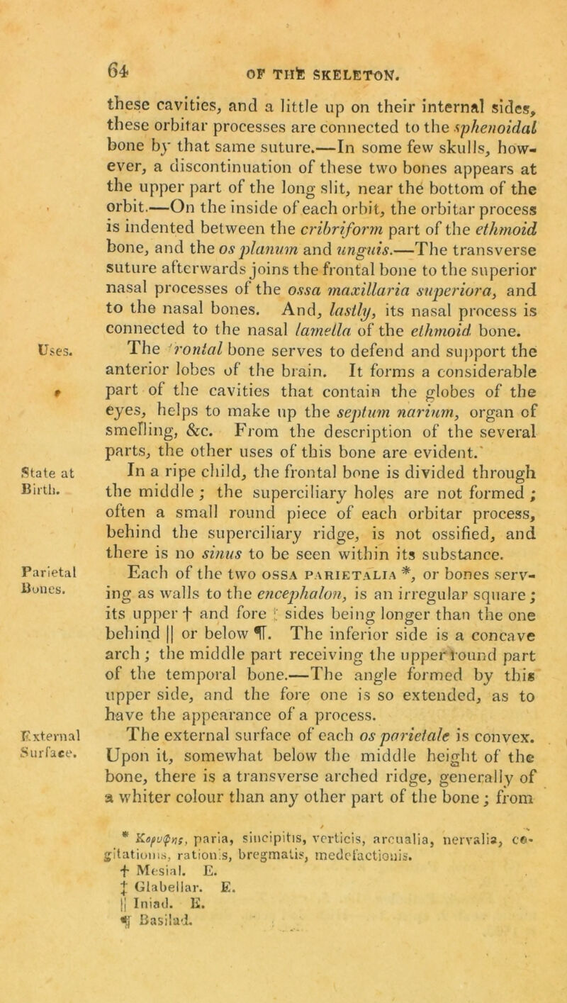 Uses. 9 State at Birth. Parietal Bunes. External Surface. these cavities, and a little up on their internal sides, these orbitar processes are connected to the sphenoidal bone by that same suture.—In some few skulls, how- ever, a discontinuation of these two bones appears at the upper part of the long slit, near the bottom of the orbit.—On the inside of each orbit, the orbitar process is indented between the cribriform part of the ethmoid bone, and the os planum and unguis.—The transverse suture afterwards joins the frontal bone to the superior nasal processes of the ossa maxillaria superior a, and to the nasal bones. And, lastly, its nasal process is connected to the nasal lamella of the ethmoid, bone. The rontal bone serves to defend and support the anterior lobes of the brain. It forms a considerable part of the cavities that contain the globes of the eyes, helps to make up the septum narinm, organ of smelling, See. From the description of the several parts, the other uses of this bone are evident. In a ripe child, the frontal bone is divided through the middle; the superciliary holes are not formed ; often a small round piece of each orbitar process, behind the superciliary ridge, is not ossified, and there is no sinus to be seen within its substance. Each of the two ossa pariktalia *, or bones serv- ing as walls to the encephalon, is an irregular square; its upper f and fore ; sides being longer than the one behind || or below IT. The inferior side is a concave arch ; the middle part receiving the upper Found part of the temporal bone.—The angle formed by this upper side, and the fore one is so extended, as to have the appearance of a process. The external surface of each os parietale is convex. Upon it, somewhat below the middle height of the bone, there is a transverse arched ridge, generally of a whiter colour than any other part of the bone; from « ....... * Kofv$>is, paria, siuctpitis, verticis, arcualia, nervana, ce- gitatioms, ration.s, bregmalis, medefactionis. f Mesial. E. X Glabellar. E. jj Iniad. E. *j Basilad,