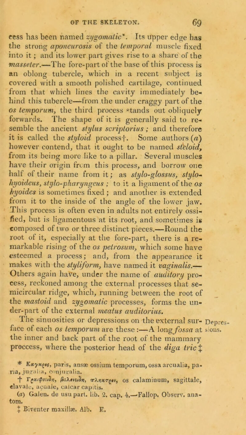 » cess has been named zi/gomalic'. Its upper edge has the strong aponeurosis of the temporal muscle fixed into it; and its lower part gives rise to a share of the masseter.—The fore-part of the base of this process is an oblong tubercle, which in a recent subject is covered with a smooth polished cartilage, continued from that which lines the cavity immediately be- hind this tubercle—from the under craggy part of the os tempo rum, the third process °tands out obliquely forwards. The shape of it is generally said to re- semble the ancient stylus scriptorius ; and therefore it is called the styloid processf. Some authors (a) however contend, that it ought to be named slhloid. from its being more like to a pillar. Several muscles have their origin frem this process, and borrow one half ol their name from it; as stylo-glossus, stylo- hyoideus, slylo-pharyngcus ; to it a ligament of the os hyoides is sometimes fixed ; and another is extended from it to the inside of the angle of the lower jaw. This process is often even in adults not entirely ossi- fied, but is ligamentous at its root, and sometimes is composed of two or three distinct pieces.—Round the root of it, especially at the fore-part, there is a re- markable rising of the os petrosum, which some have esteemed a process; and, from the appearance it makes with the styliform, have named it vaginalis.— Others again have, under the name of auditorif pro- cess, reckoned among the external processes that se- micircular ridge, which, running between the root of the mastoid and zygomatic processes, forms the un- der-part of the external meatus auditorius. The sinuosities or depressions on the external sur- face of each os temporum are these :—A long/o-wo! at the inner and back part of the root of the mammary proccess, where the posterior head of the diga tric% * Kayxgtf, paris, ansae ossium temporum, ossa arcualia, pa- ria, jugalia, conjusralia. *f* 7, kt^v, os calaminum, sagittate, elavale, acuale, calcar capitis. (a) Galen, de usu part. lib. 2. cap. 4.—Fallop. Observ. ana- tom. + Biventer maxillae. Alb. E. Depre sions.
