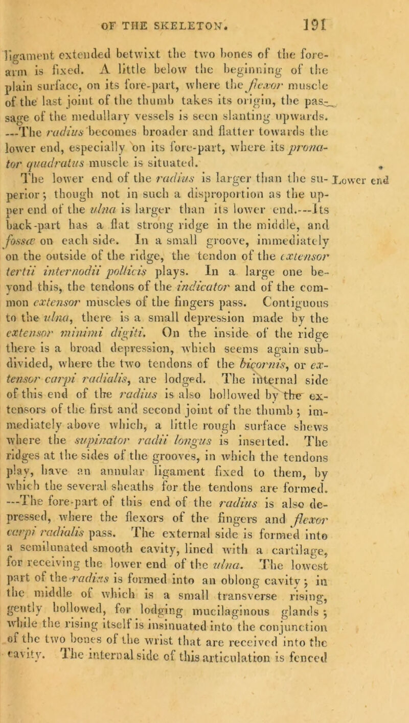 ligament extended betwixt the two bones of the fore- arm is fixed. A little below' the beginning of the plain surface, on its lore-part, where the flexor muscle of the last joint of the thumb takes its origin, the pas^ sage of the medullary vessels is seen slanting upwards. —The radius becomes broader and flatter towards the lower end, especially on its lore-part, where its prona- tor quadratus muscle is situated. „ The lower end of the radius is larger than the su- Lower end periorj though not in such a disproportion as the up- per end of the ulna is larger than its lower end.—its back-part has a flat strong ridge in the middle, and fossce on each side. In a small groove, immediately on the outside of the ridge, the tendon of the extensor tertii internodii pollicis plays. In a large one be- yond this, the tendons of the indicator and of the com- mon extensor muscles of the fingers pass. Contiguous to the ulna, there is a small depression made by the extensor minimi digiti. On the inside of the ridge there is a broad depression, which seems again sub- divided, where the two tendons of the bicornis, or ex- tensor carpi radialis, are lodged. The internal side of this end of the radius is also hollowed by the ex- tensors of the first and second joint of the thumb ; im- mediately above which, a little rough surface shews where the supinator radii longus is inserted. The ridges at the sides of the grooves, in which the tendons play, have an annular ligament fixed to them, by which the several sheaths for the tendons are formed. —The fore-part of this end of the radius is also de- pressed, where the flexors of the fingers and flexor carpi radialis pass. The external side is formed into a semilunated smooth cavity, lined with a cartilage, for receiving the lower end of the ulna. The lowest part ot the radius is formed into an oblong cavity} in the middle ol which is a small transverse rising, gently hollowed, for lodging mucilaginous glands $ while the rising itself is insinuated into the conjunction of the two hones ol the wrist that are received into the cavity, lhe internal side of this articulation is fenced