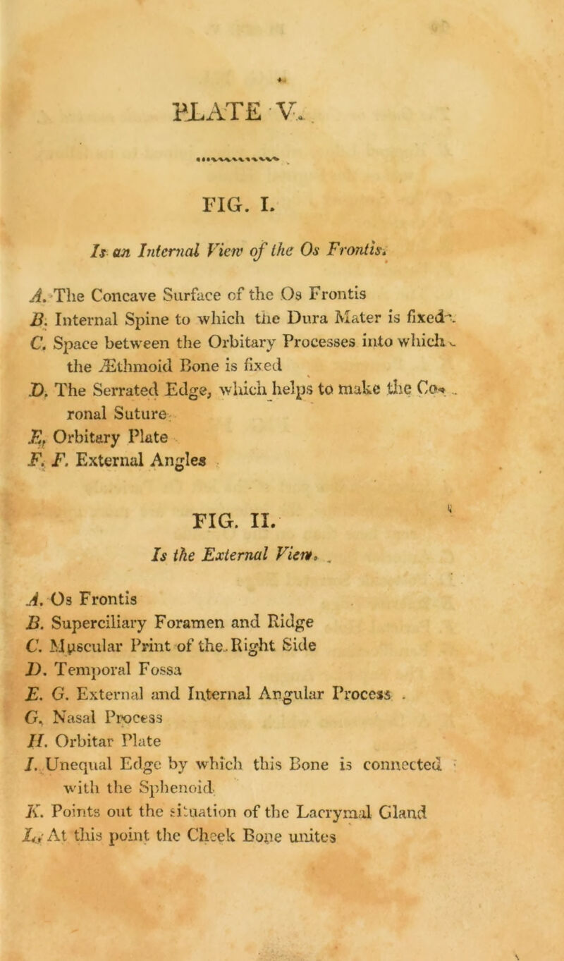 FIG. I. Is an Internal View of the Os Front is, A. The Concave Surface cf the Os Frontis B. Internal Spine to which tne Dura Mater is fixecK C. Space between the Orbitary Processes into which v. the Ethmoid Bone is fixed ID. The Serrated Edge, which helps to make the Co** . ronal Suture Et Orbitary Plate F. F. External Angles FIG. II. Is the External View, „ A. O3 Frontis B. Superciliary Foramen and Ridge C. Mpscular Print of the-Right Side 1). Temporal Fossa E. G. External and Internal Angular Process . G, Nasal Process II. Orbitar Plate I. Unequal Edge by which this Bone is connected w ith the Sphenoid K. Points out the situation of the Lacrymal Gland let At this point the Cheek Bone unites